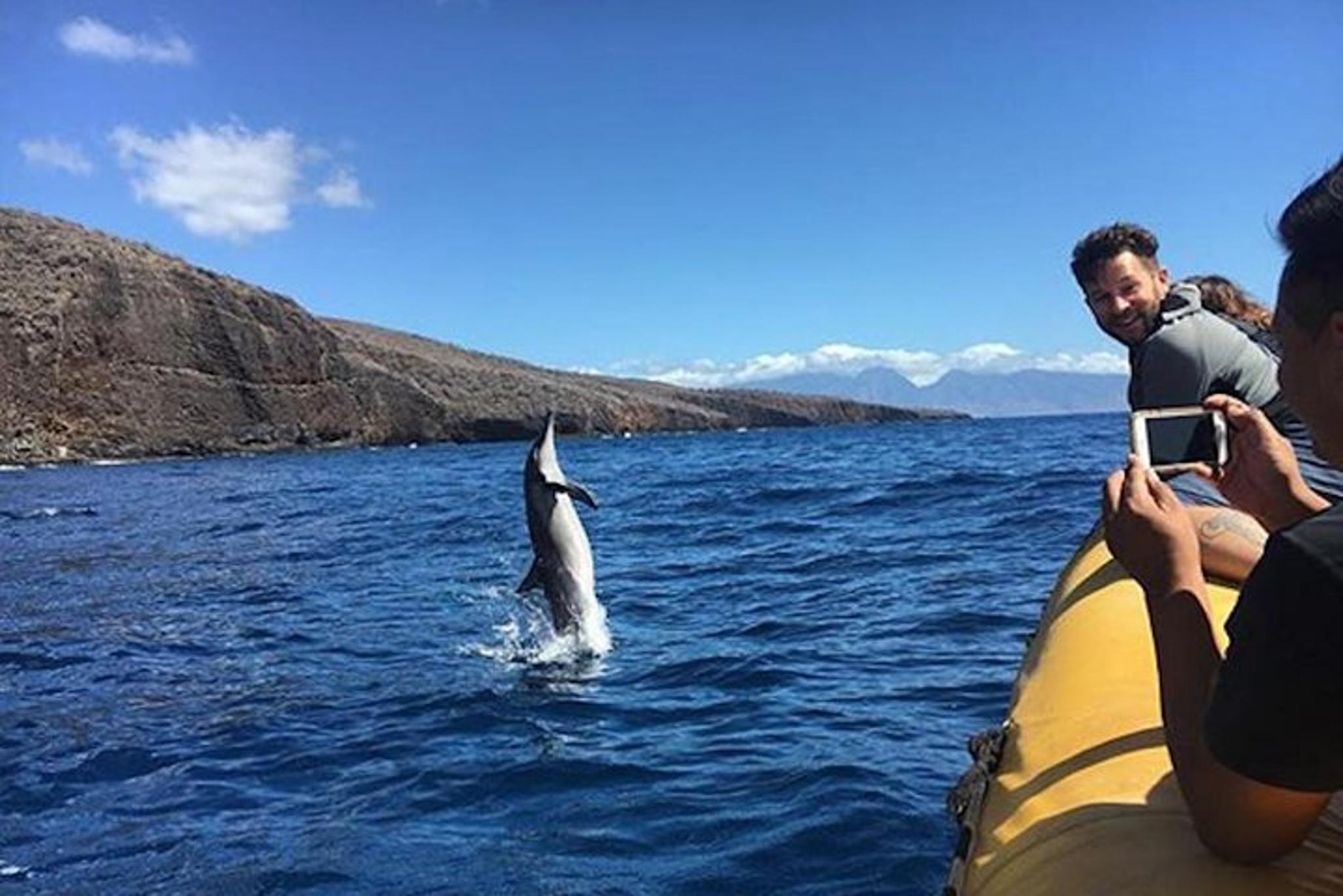 Lanai Dolphin Adventure and Snorkeling Tour