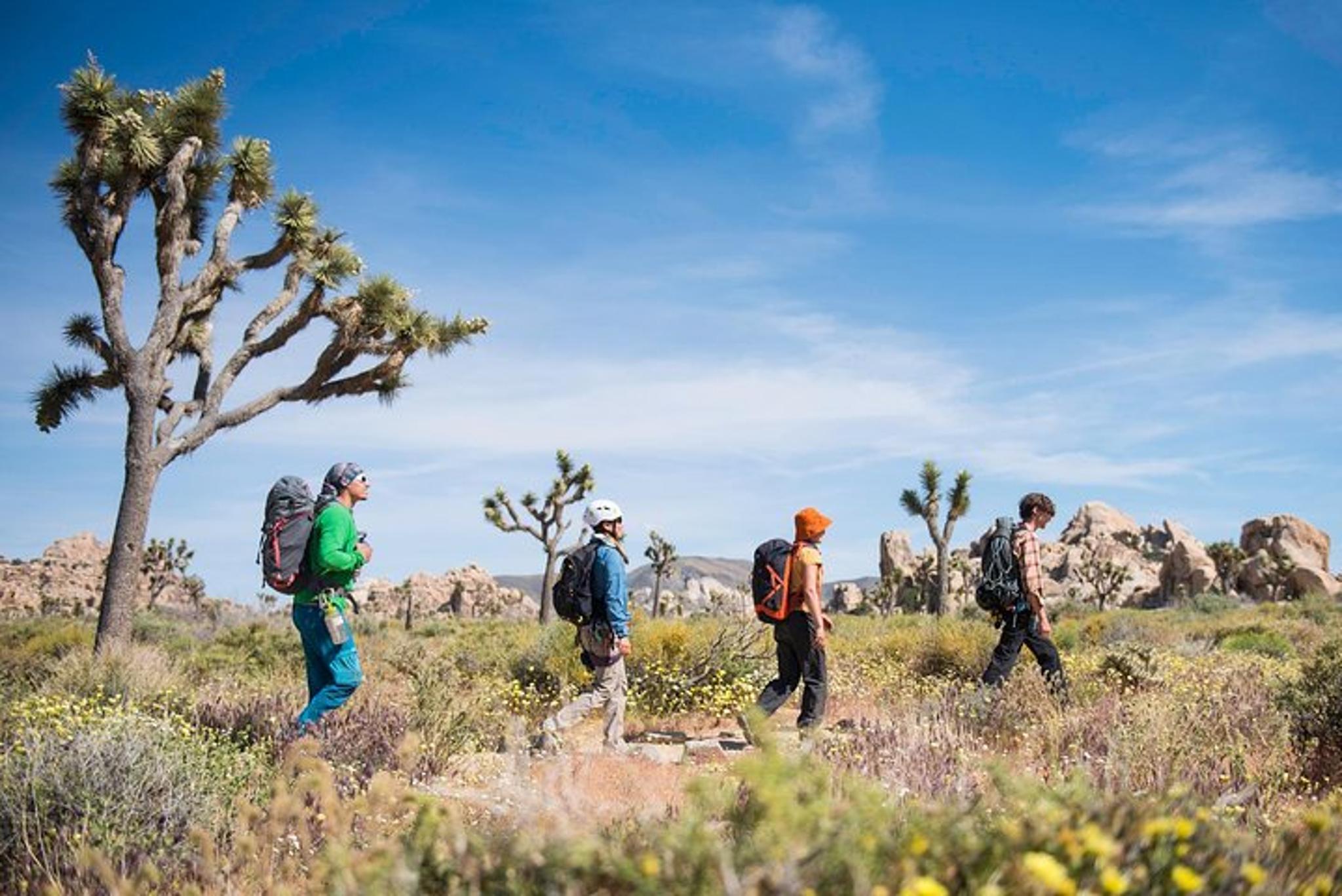 Joshua Tree Rock Climbing Tour 8 Hours - Image 3