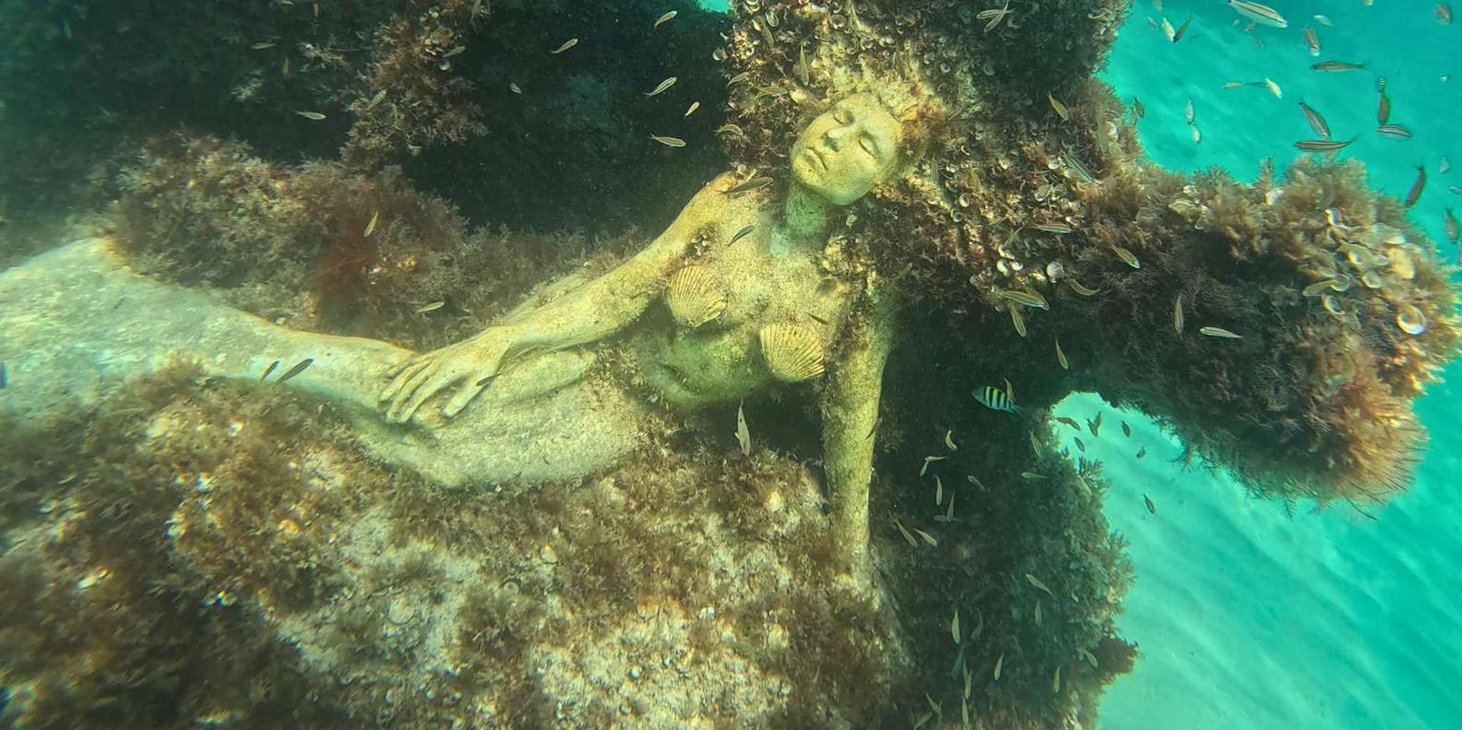 Fort Lauderdale Snorkel, Kayak & SUP Adventure - Image 2