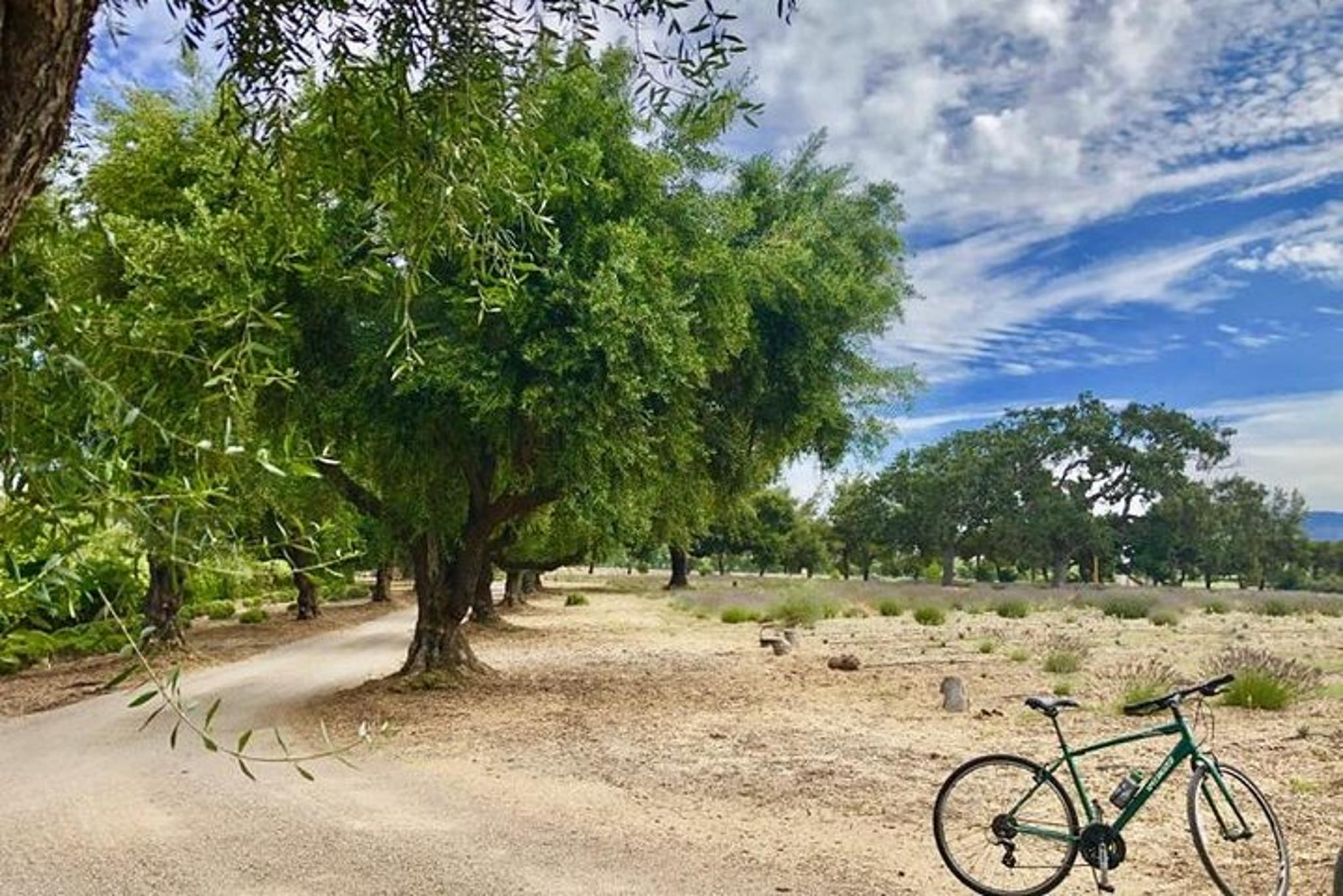 Santa Ynez Valley Biking and Wine Tasting Tour - Image 5