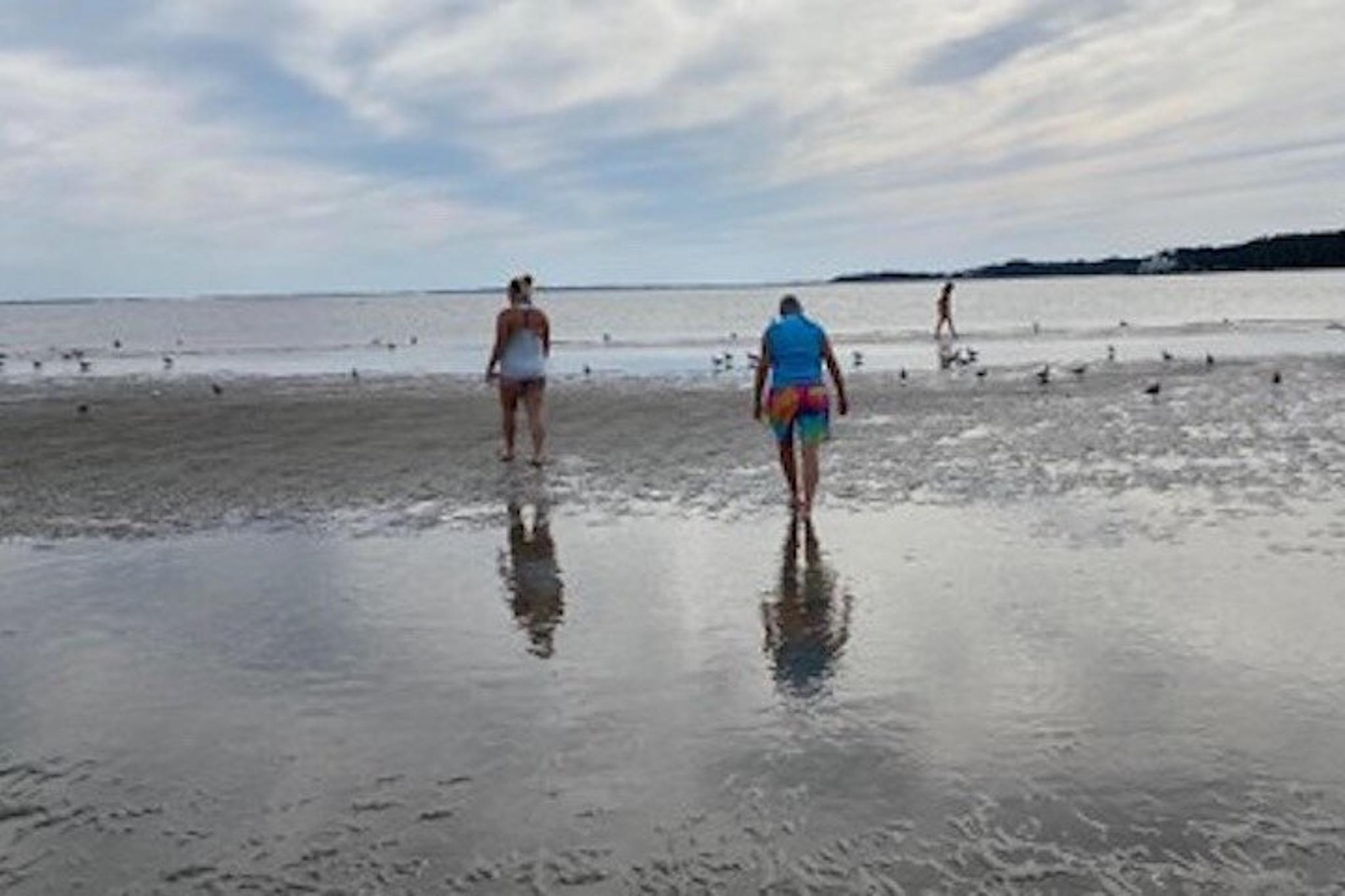Hilton Head Dolphin Tour at Disappearing Island 2 hr - Image 2