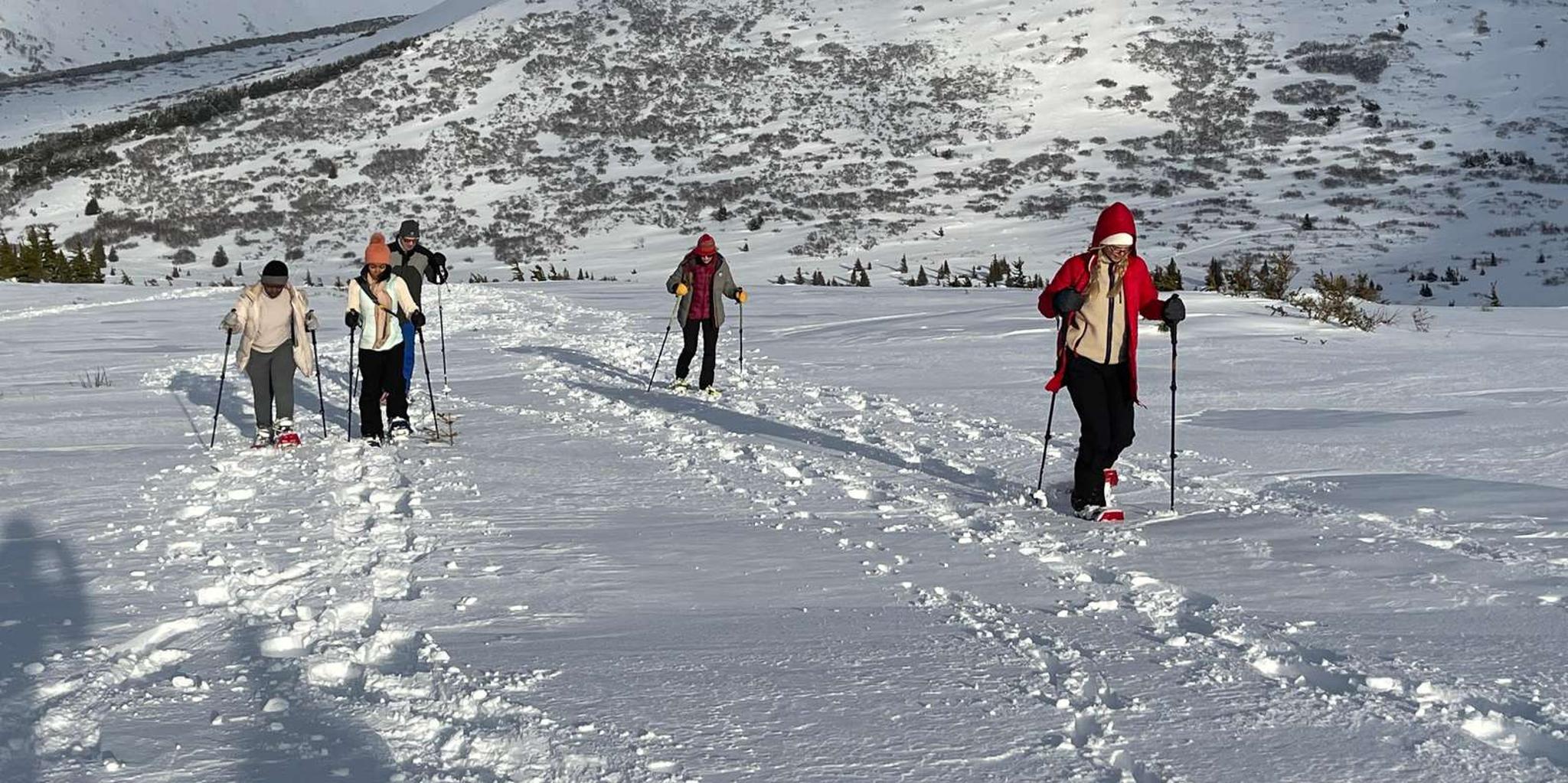 Anchorage Glen Alps Snowshoeing Adventure - Image 6