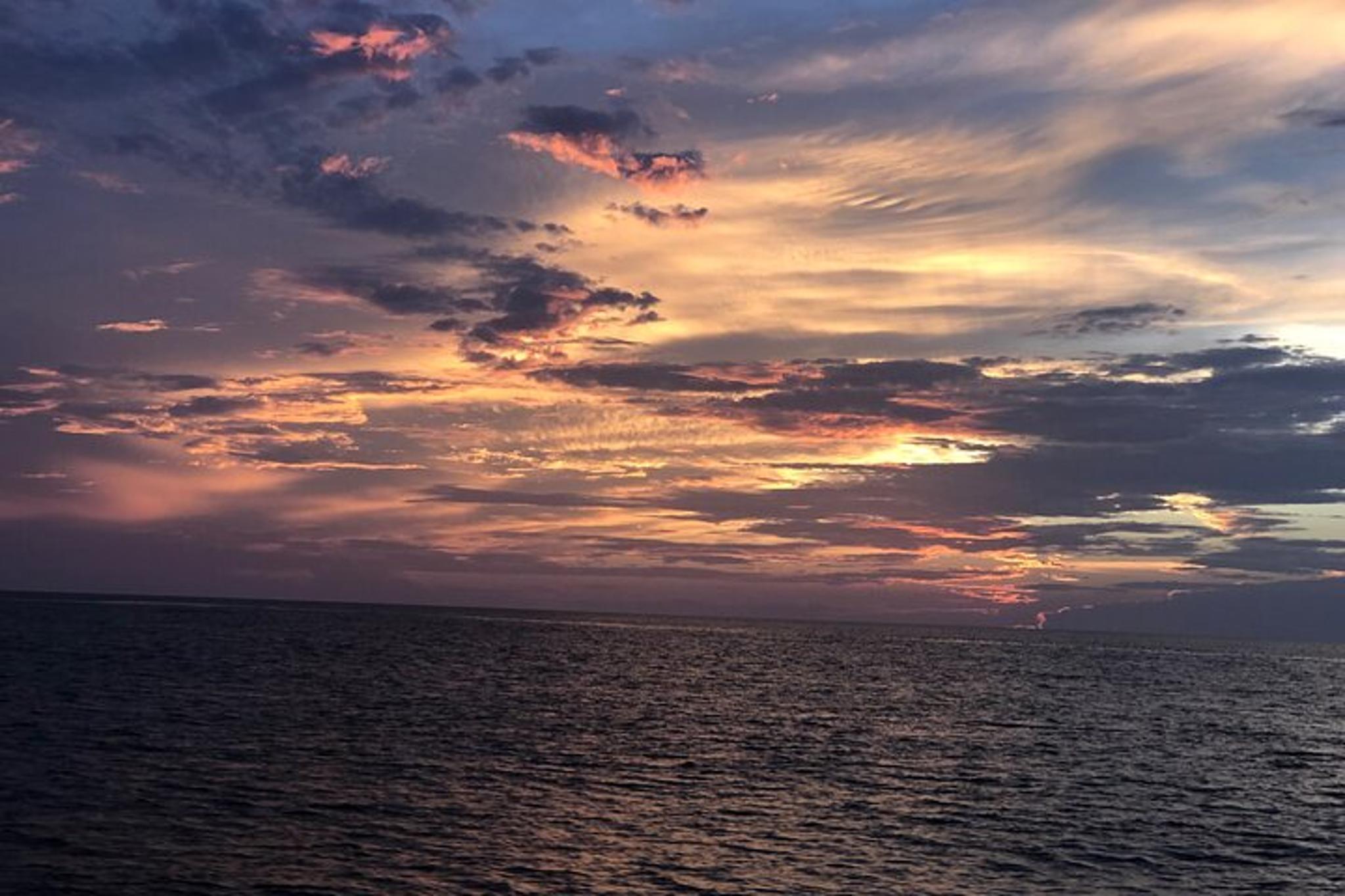 Panama City Dolphin Adventure at Sunset - Image 6