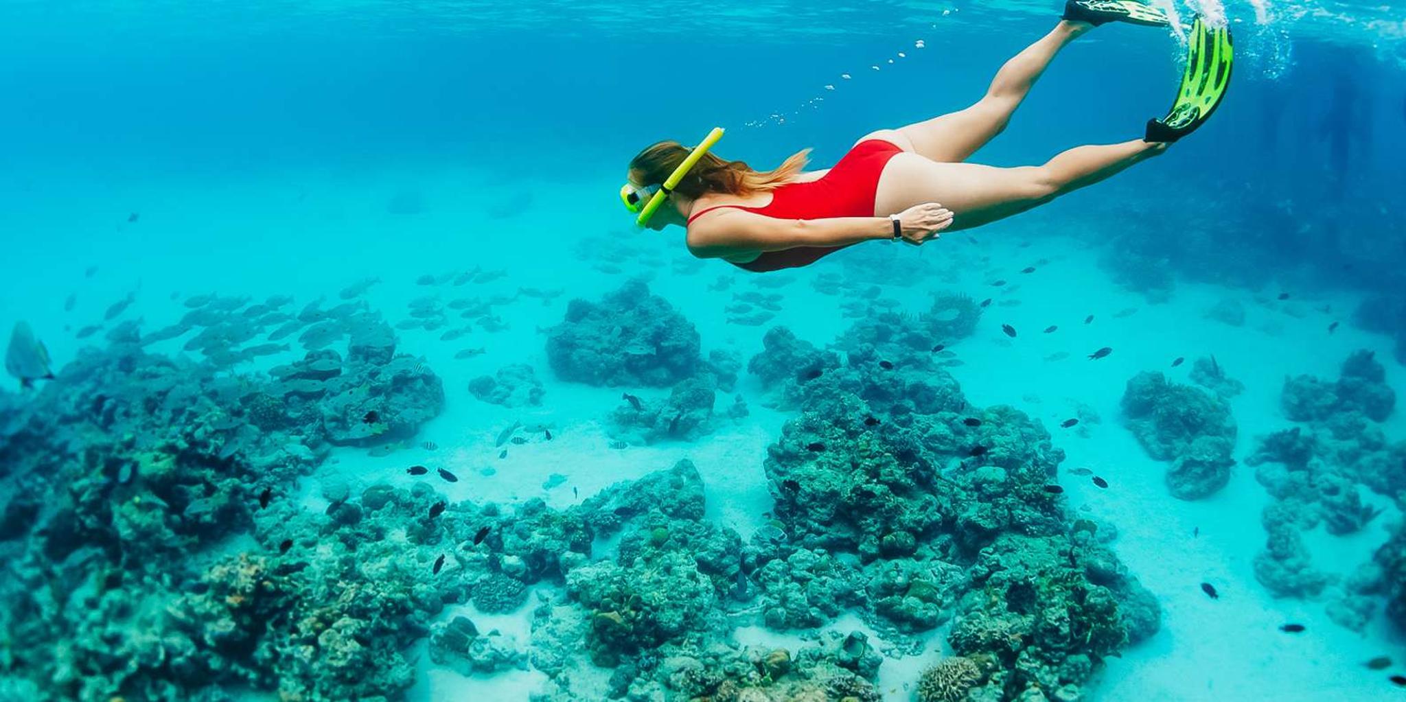 Ka'anapali Beach Snorkel and Turtle Spotting - Image 6
