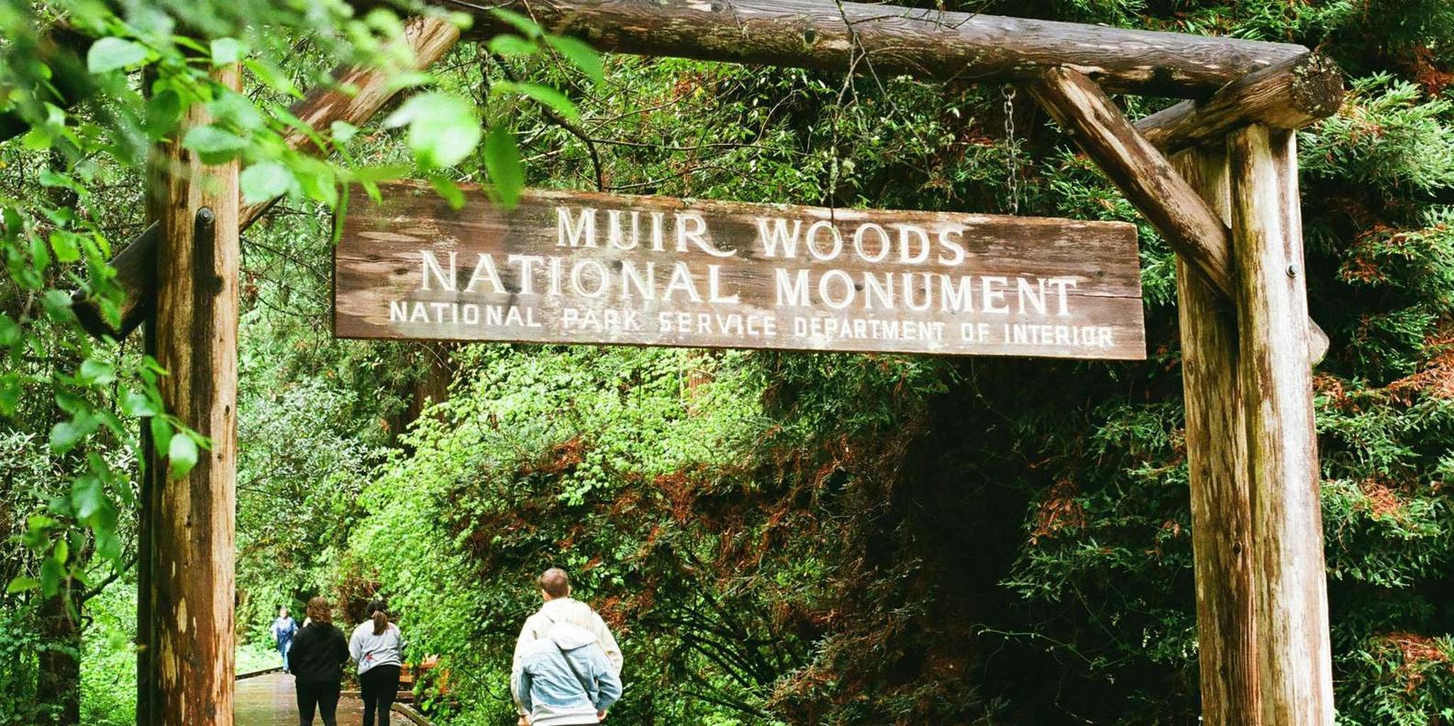 San Francisco Muir Woods and Sausalito Tour - Image 3