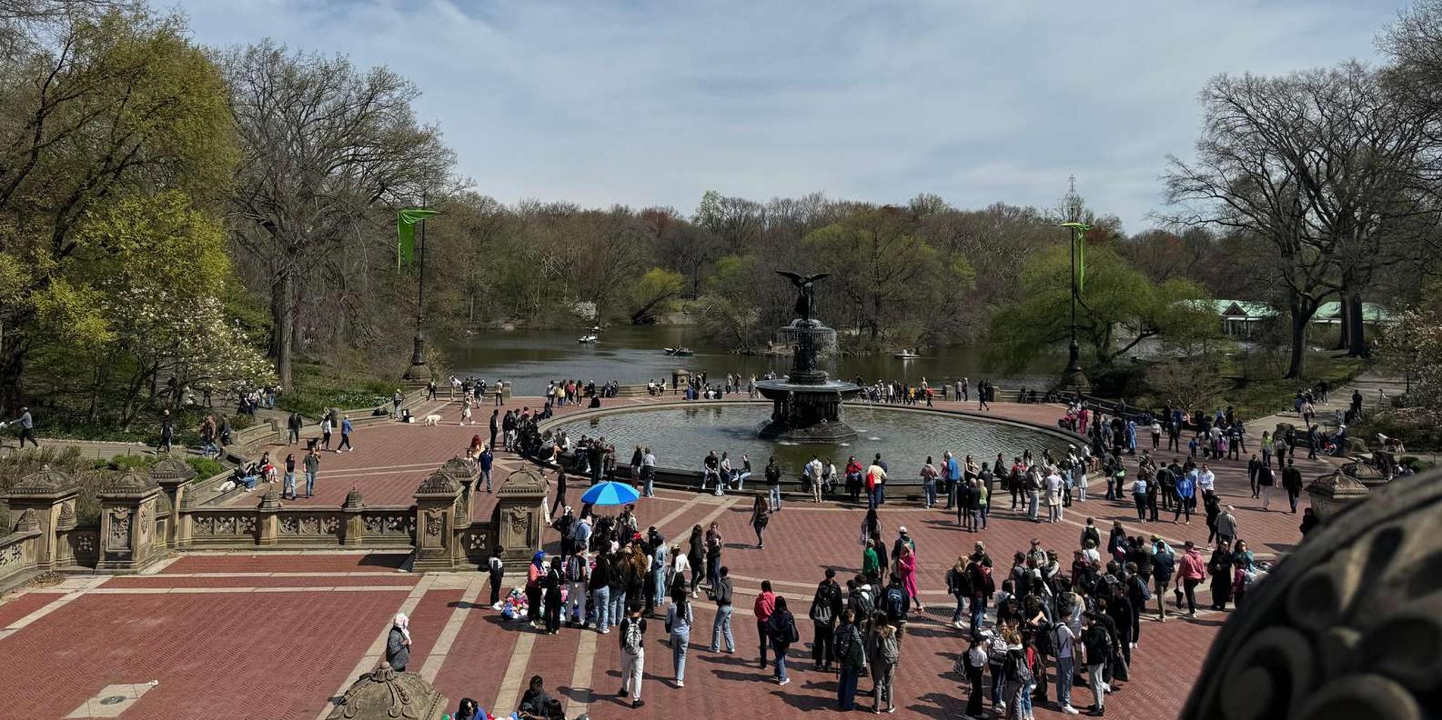 New York City Central Park Horse and Carriage Ride - Image 5