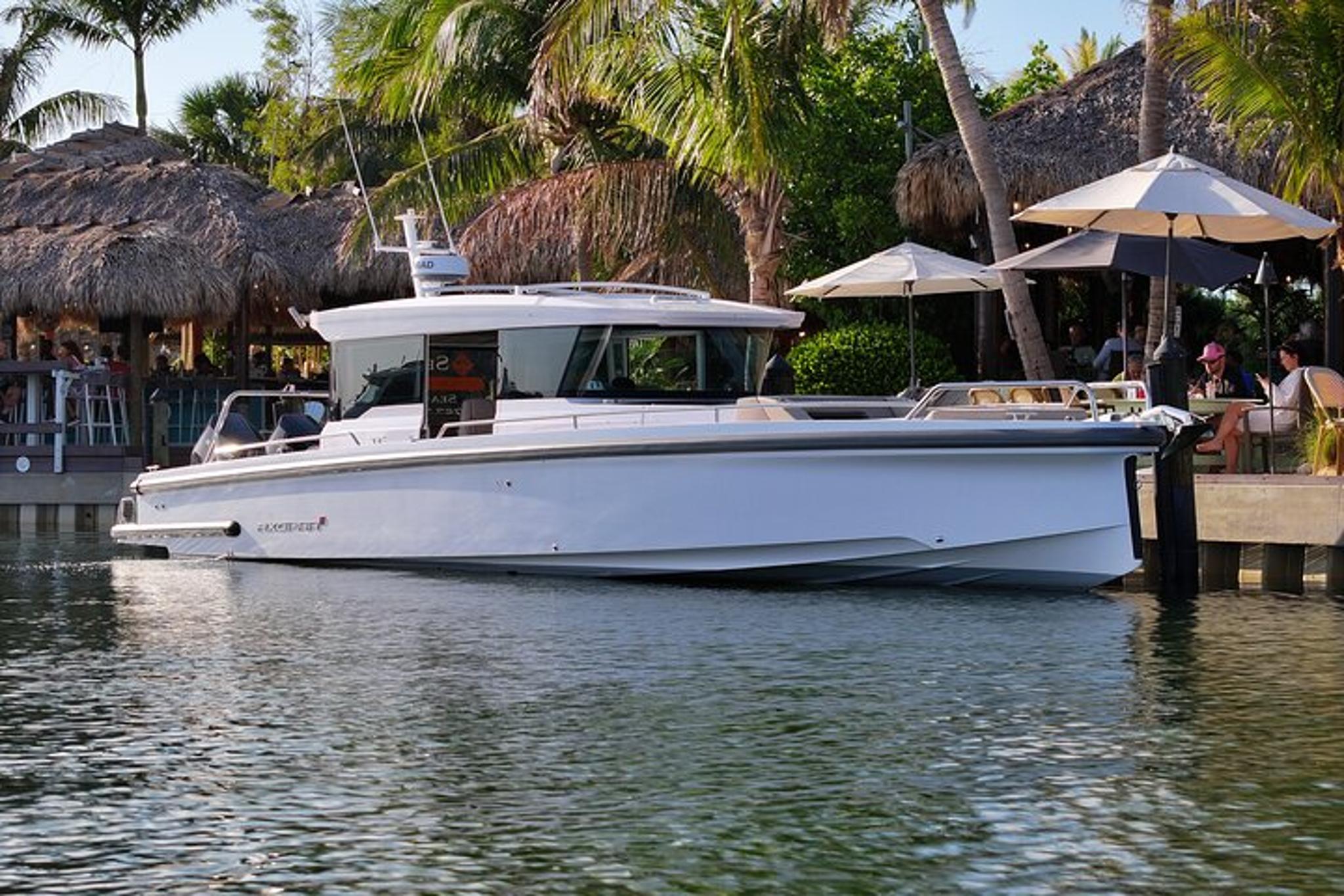 Tampa Boat Tour with Snorkeling 4 hr - Image 2