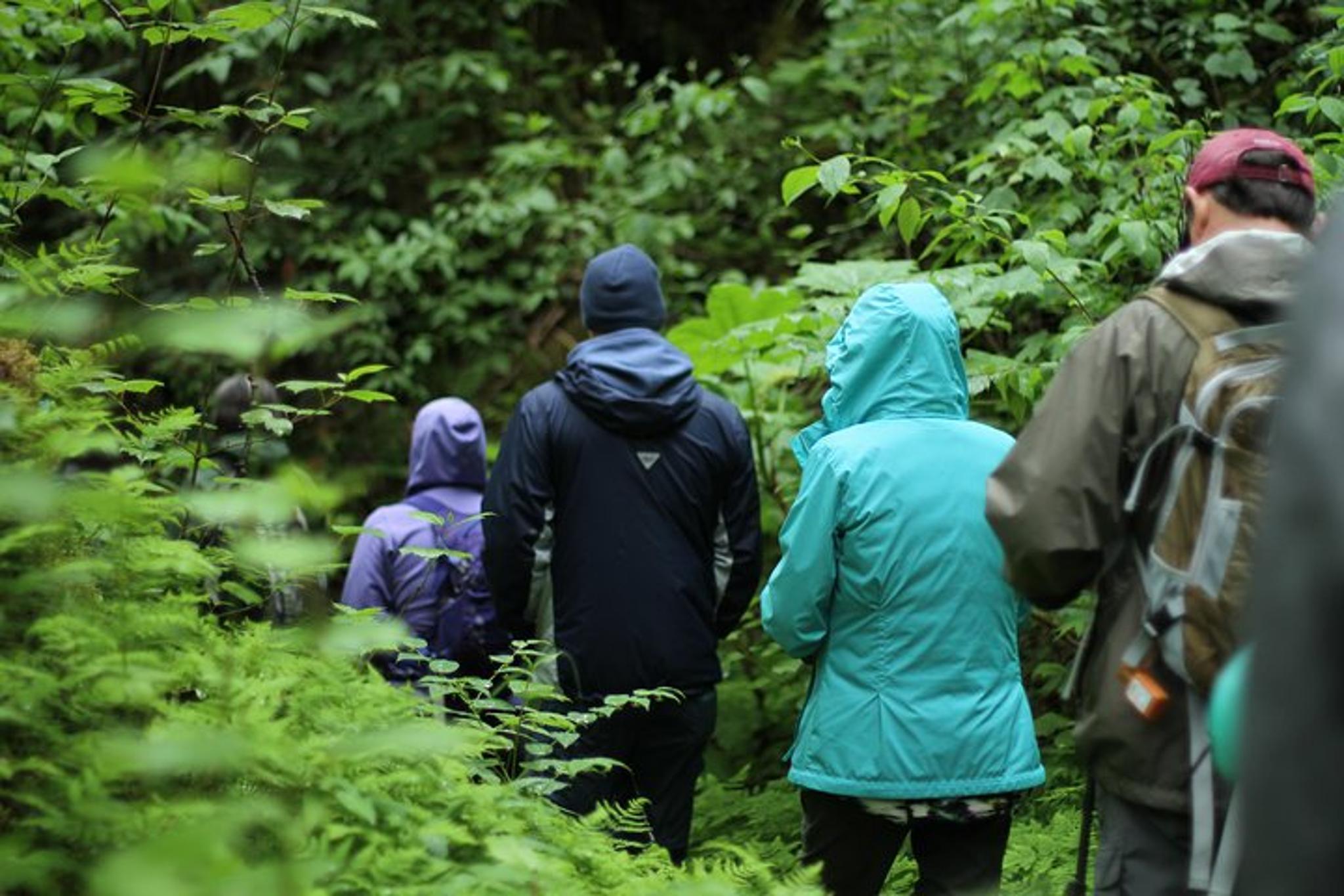 Skagway Chilkoot Trail Hike and Float 6 hr - Image 6
