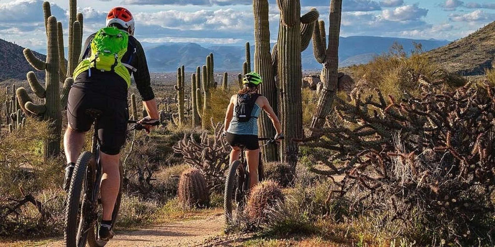 Scottsdale Mountain Bike Tour in Sonoran Desert