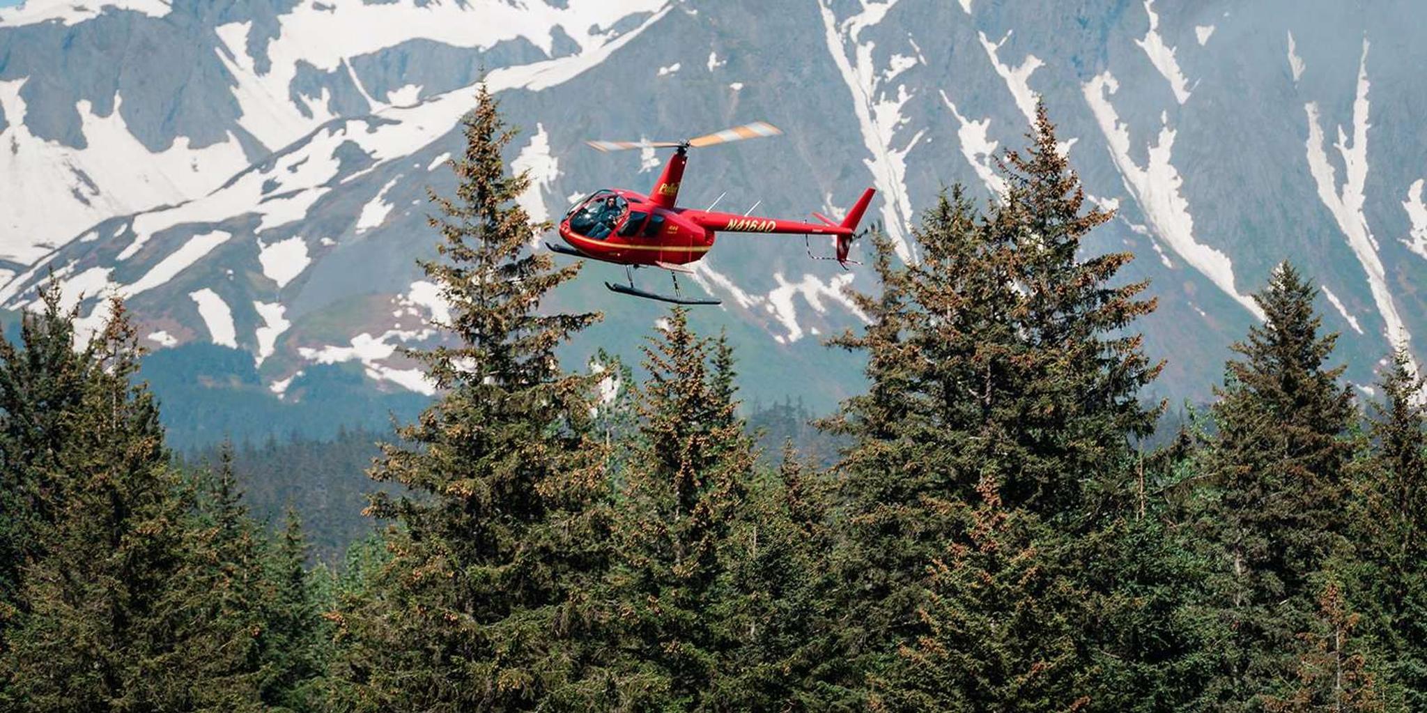 Seward Helicopter Tour of Harding Icefield - Image 1