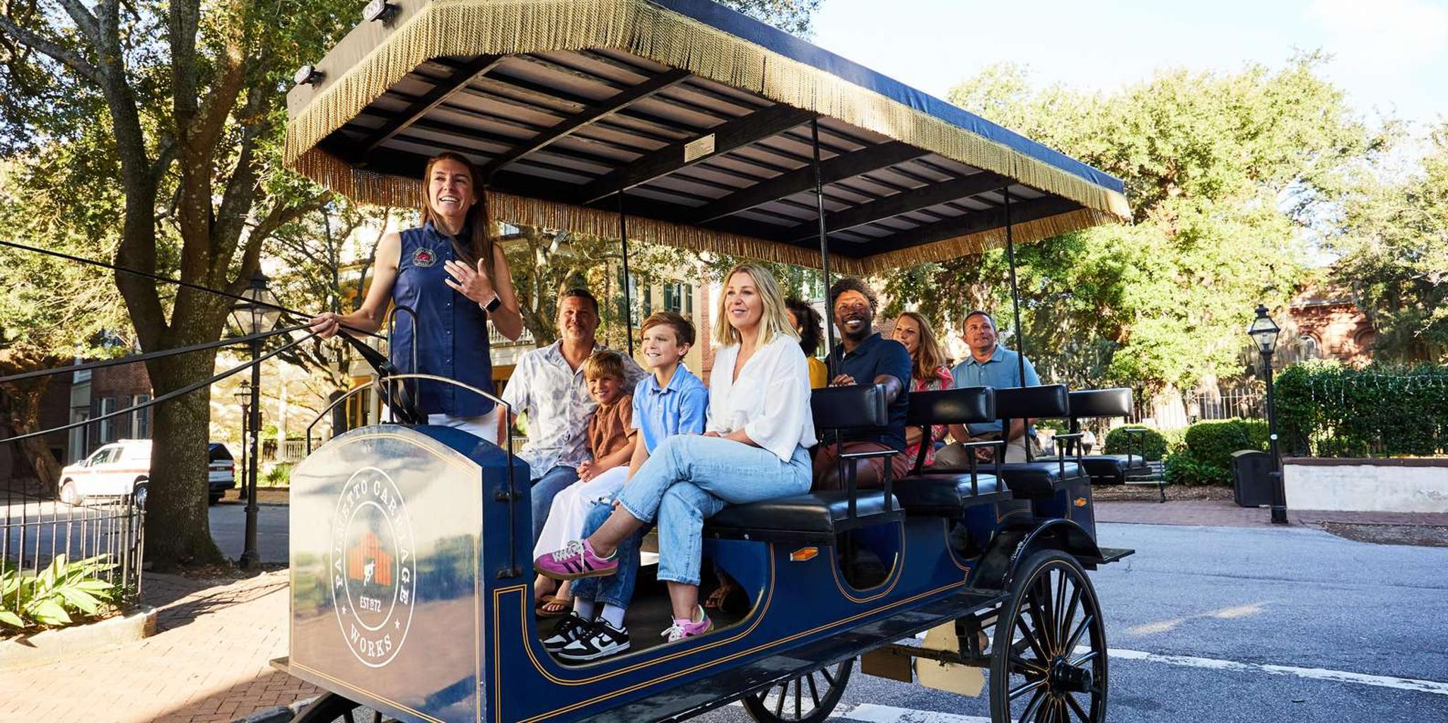 Charleston Horse-Drawn Carriage Tour - Image 3