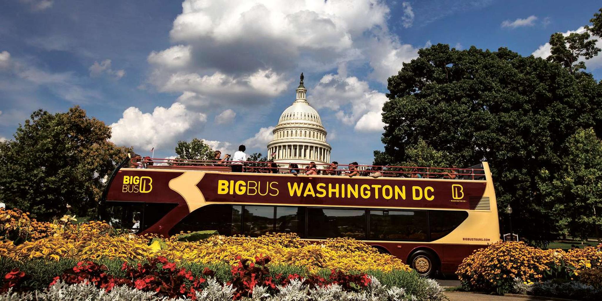 Washington DC Hop-on Hop-off Bus Tour with Arlington Walking and Night Tour - Image 2