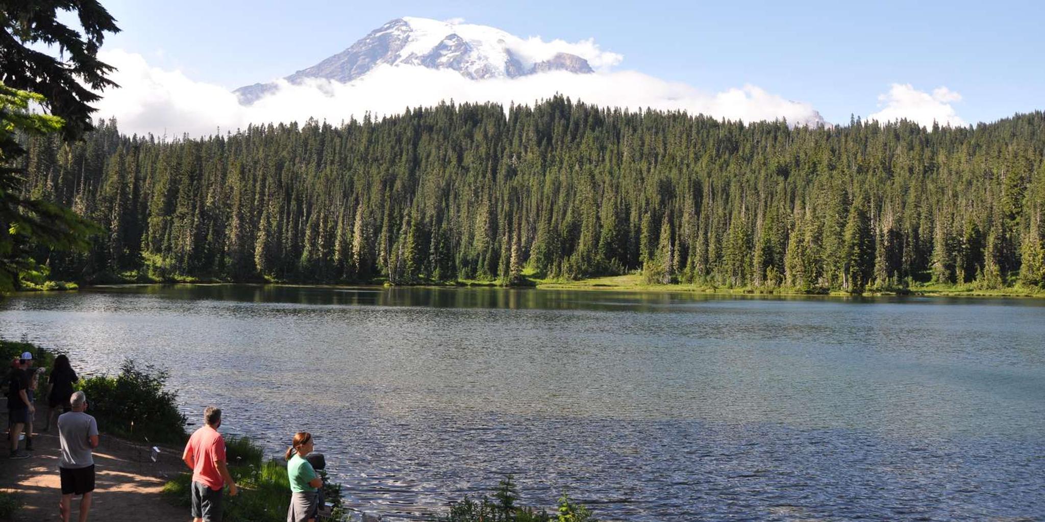 Seattle Mount Rainier Customized Tour 9 hr - Image 5