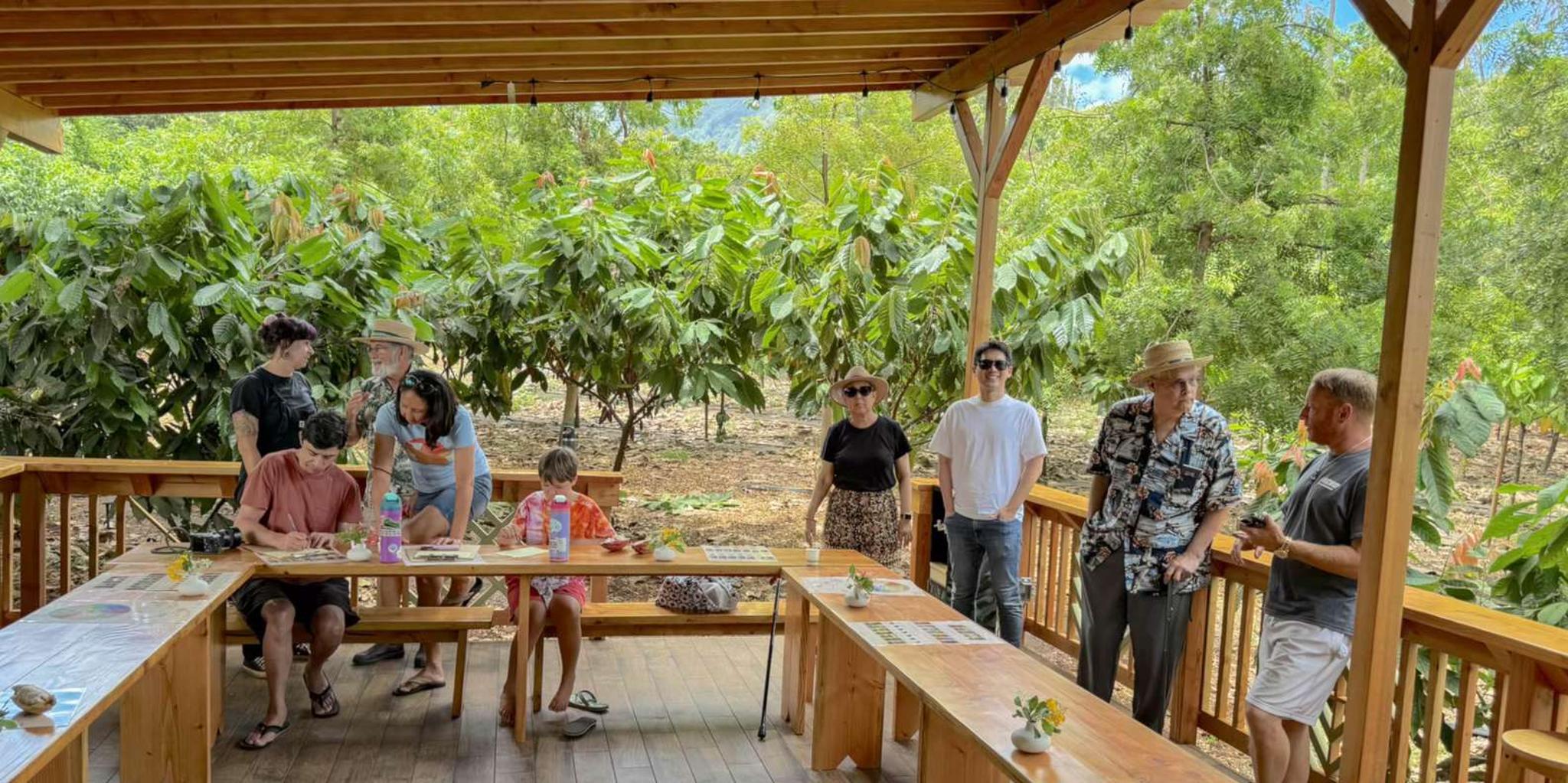 Oahu Chocolate Farm Tour with Tasting - Image 5