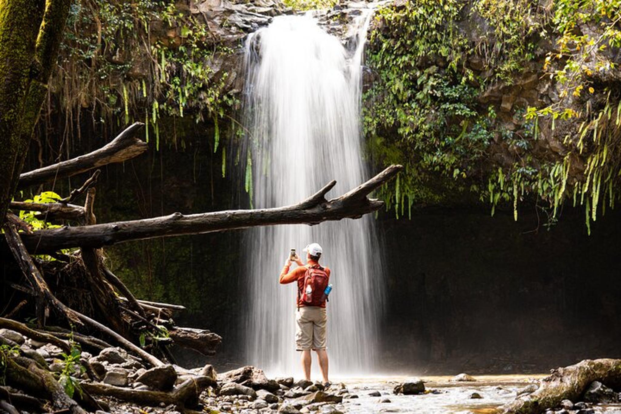 Maui Waterfall & Rainforest Hiking Adventure - Image 2