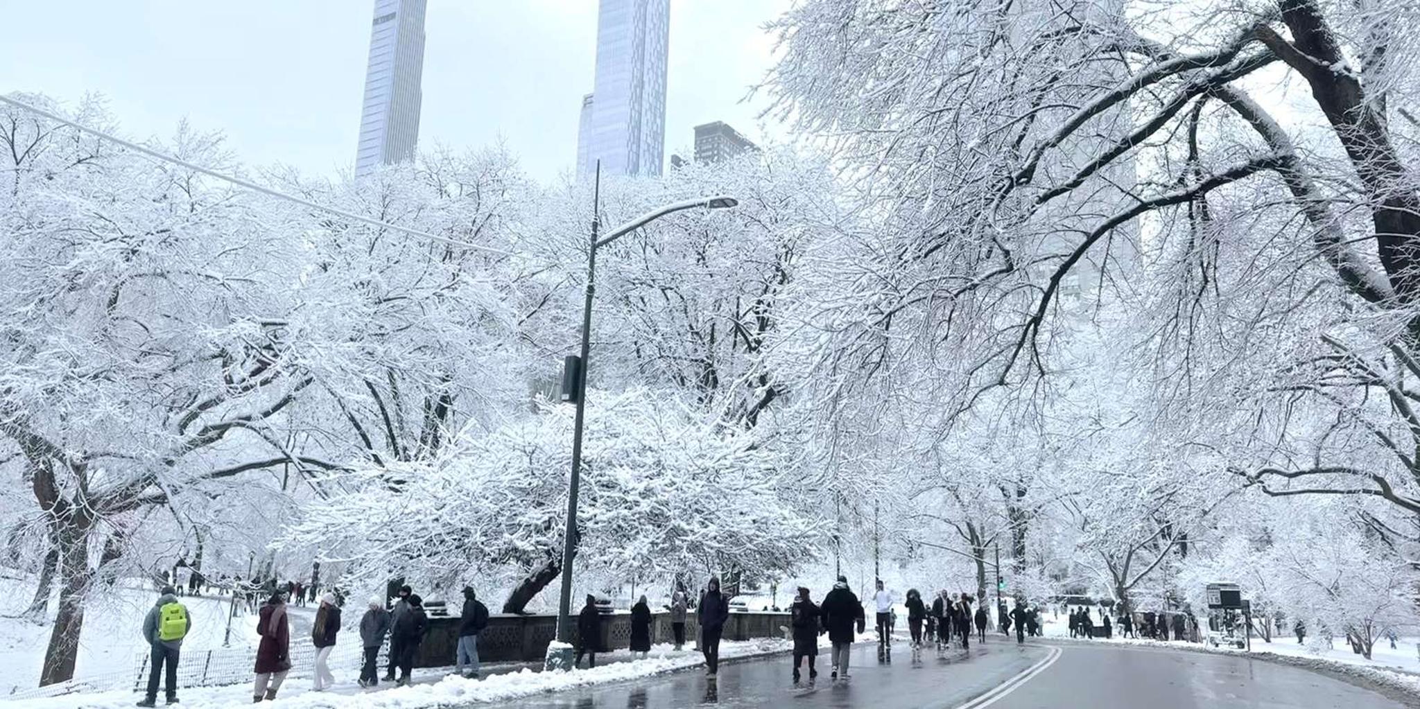 New York Central Park Bike Tour with Movie Locations - Image 3