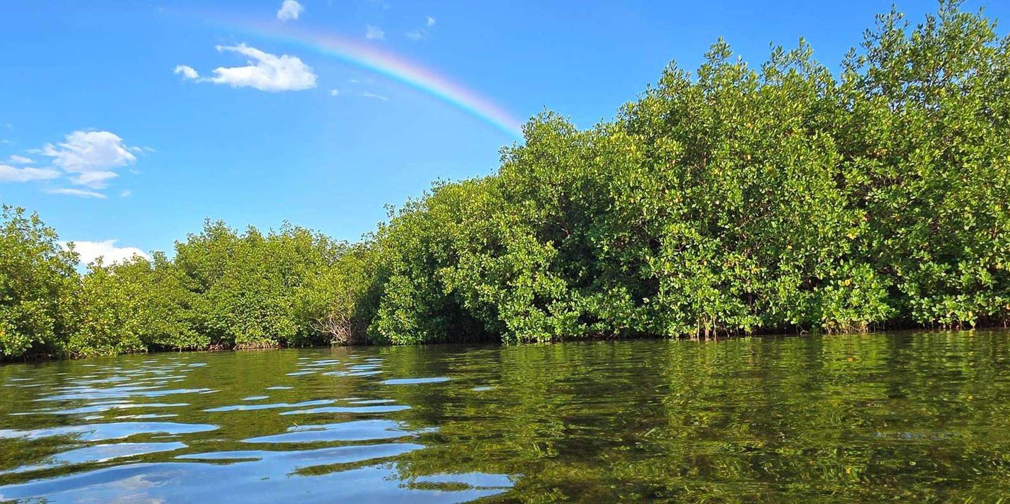 Key West Kayak or Paddleboard Rental 2 hr - Image 3