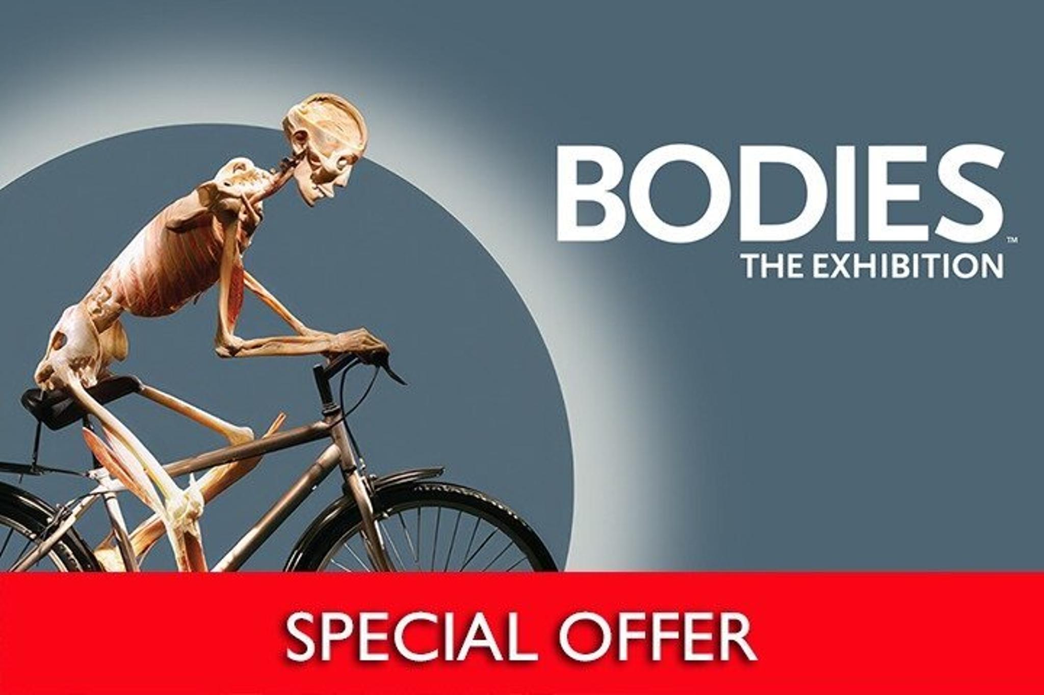 Las Vegas Bodies The Exhibition