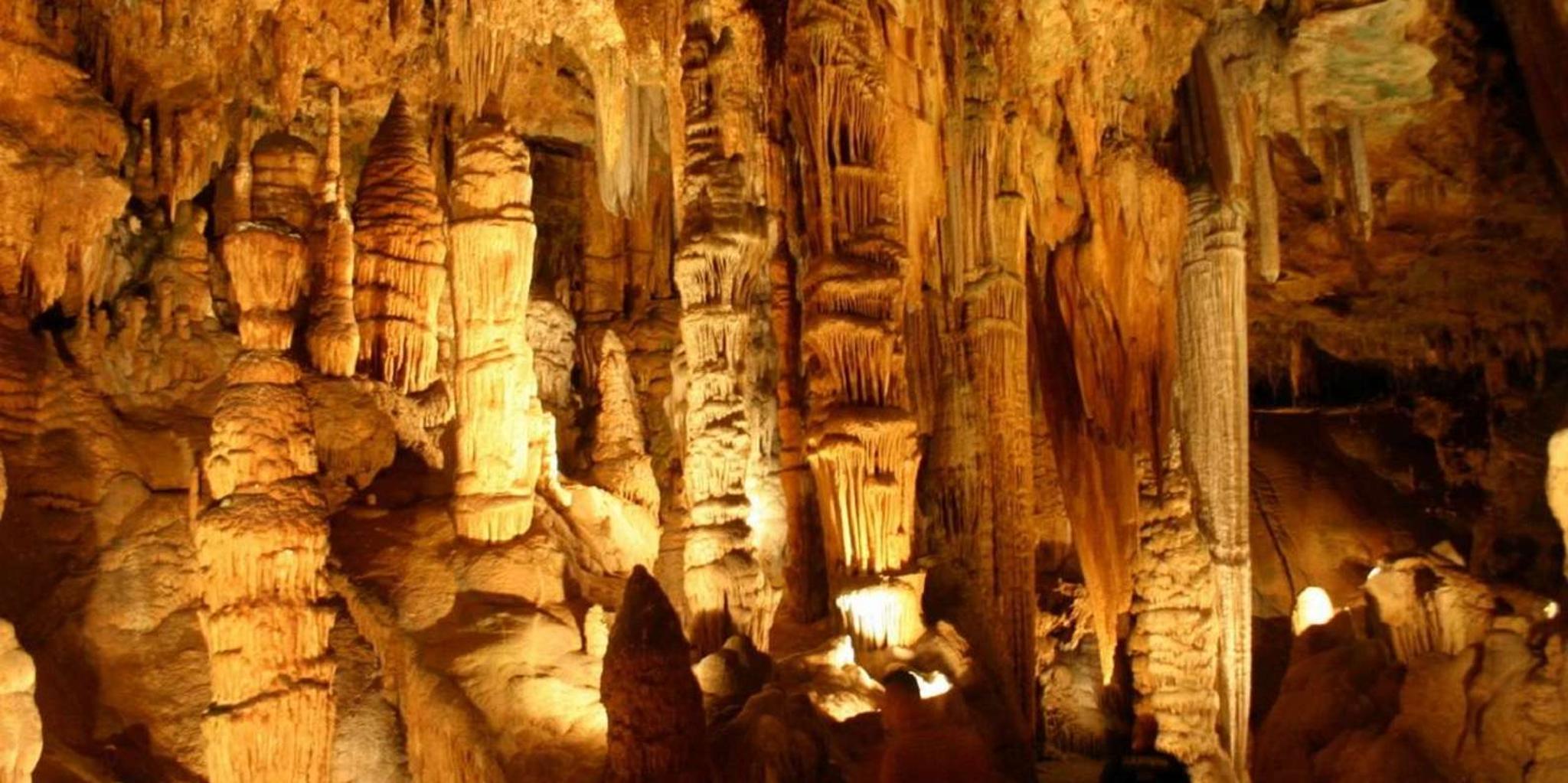 Washington D.C. Shenandoah and Luray Caverns Tour - Image 2