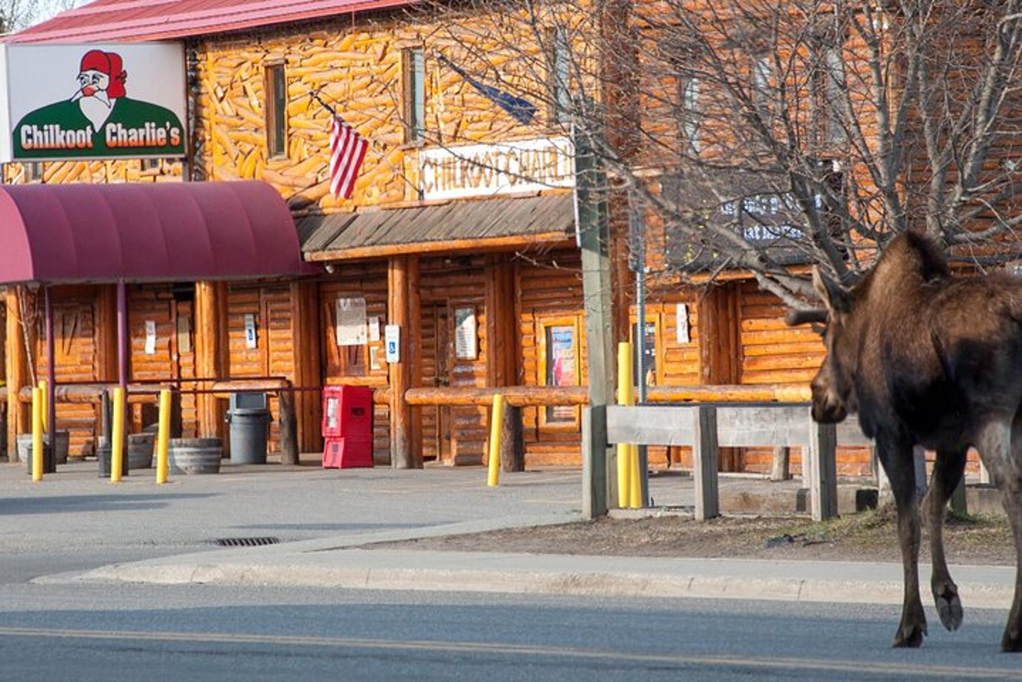 Anchorage Spenard Food & True Crime Walking Tour - Image 2