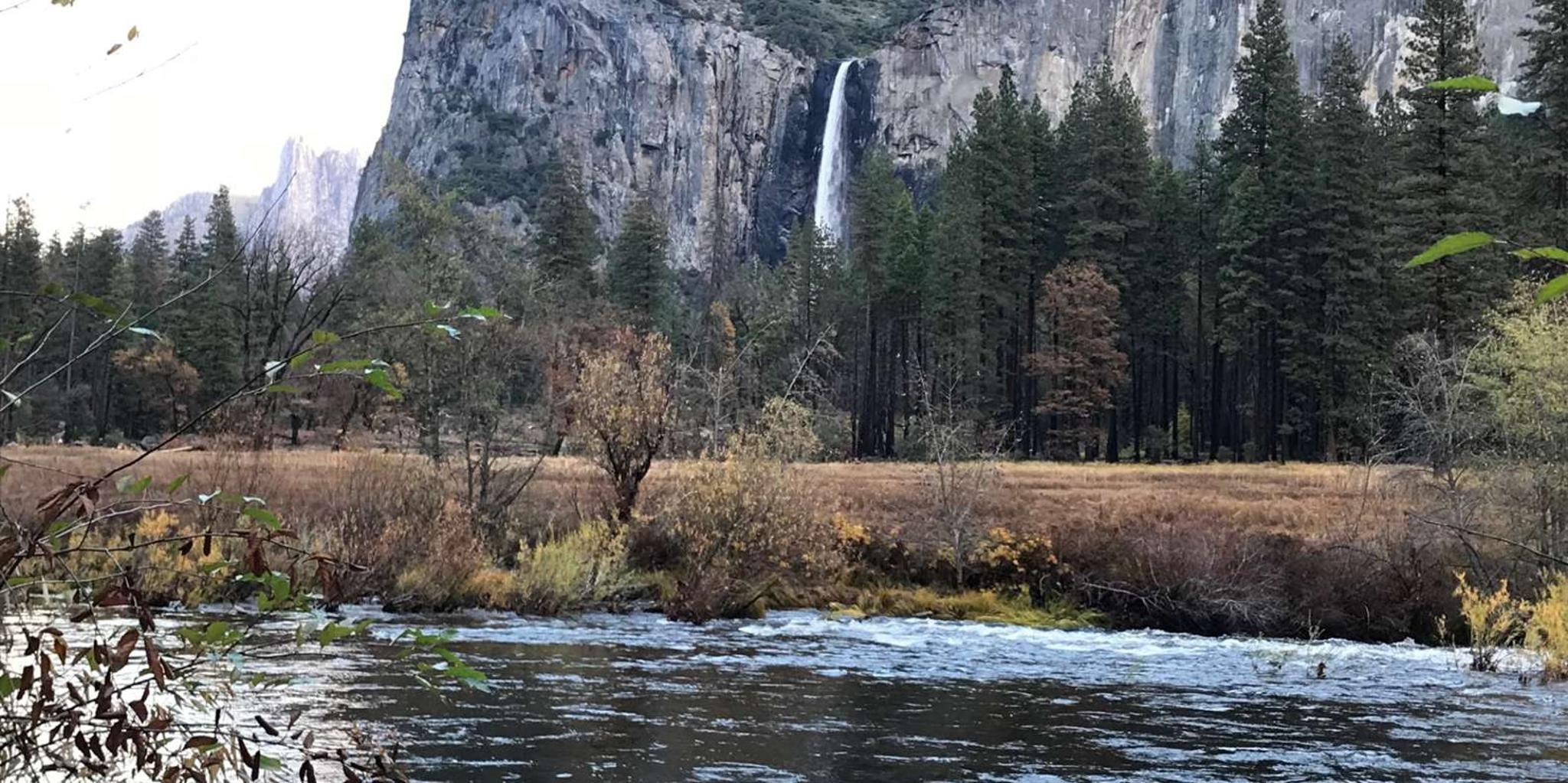 San Francisco Yosemite Day Trip with Giant Sequoias - Image 5