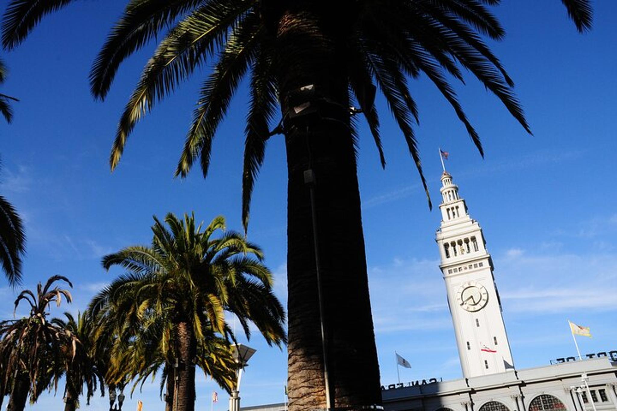 San Francisco Embarcadero Audio Tour on Climate Change - Image 3