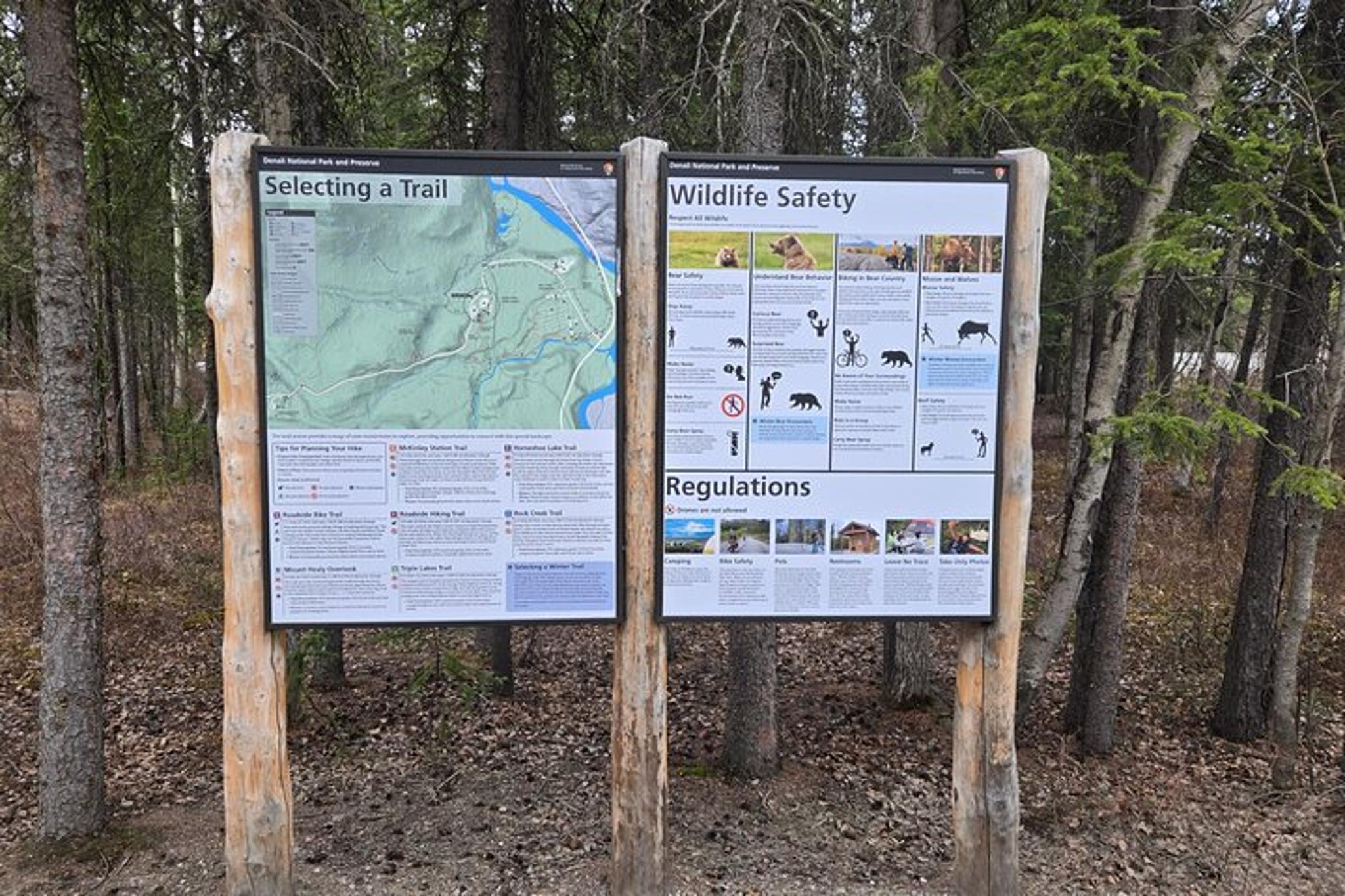 Denali National Park Shuttle - Image 6