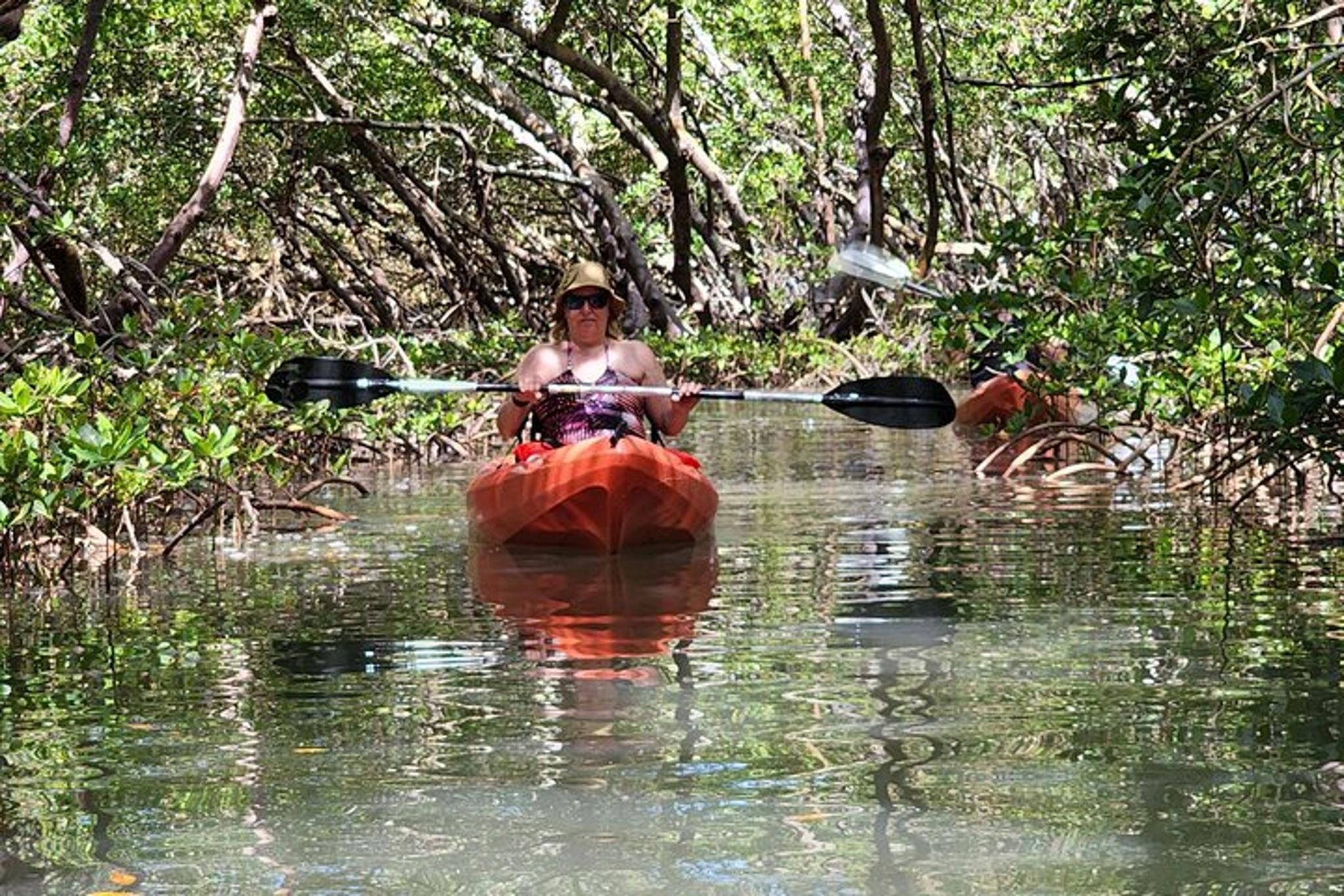 Fort Myers Beach Dolphin Eco Tour by Kayak & SUP - Image 4