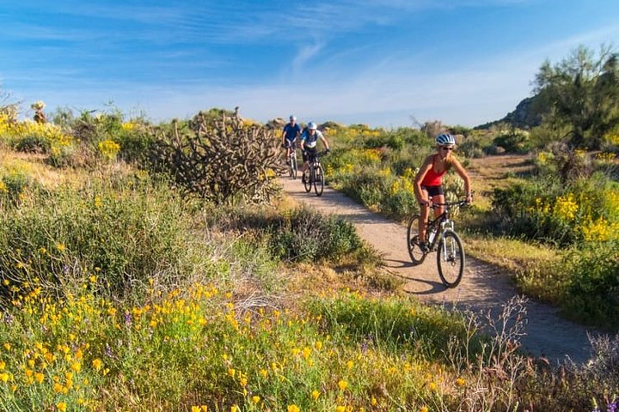 Scottsdale Mountain Bike Tour in Sonoran Desert - Image 2