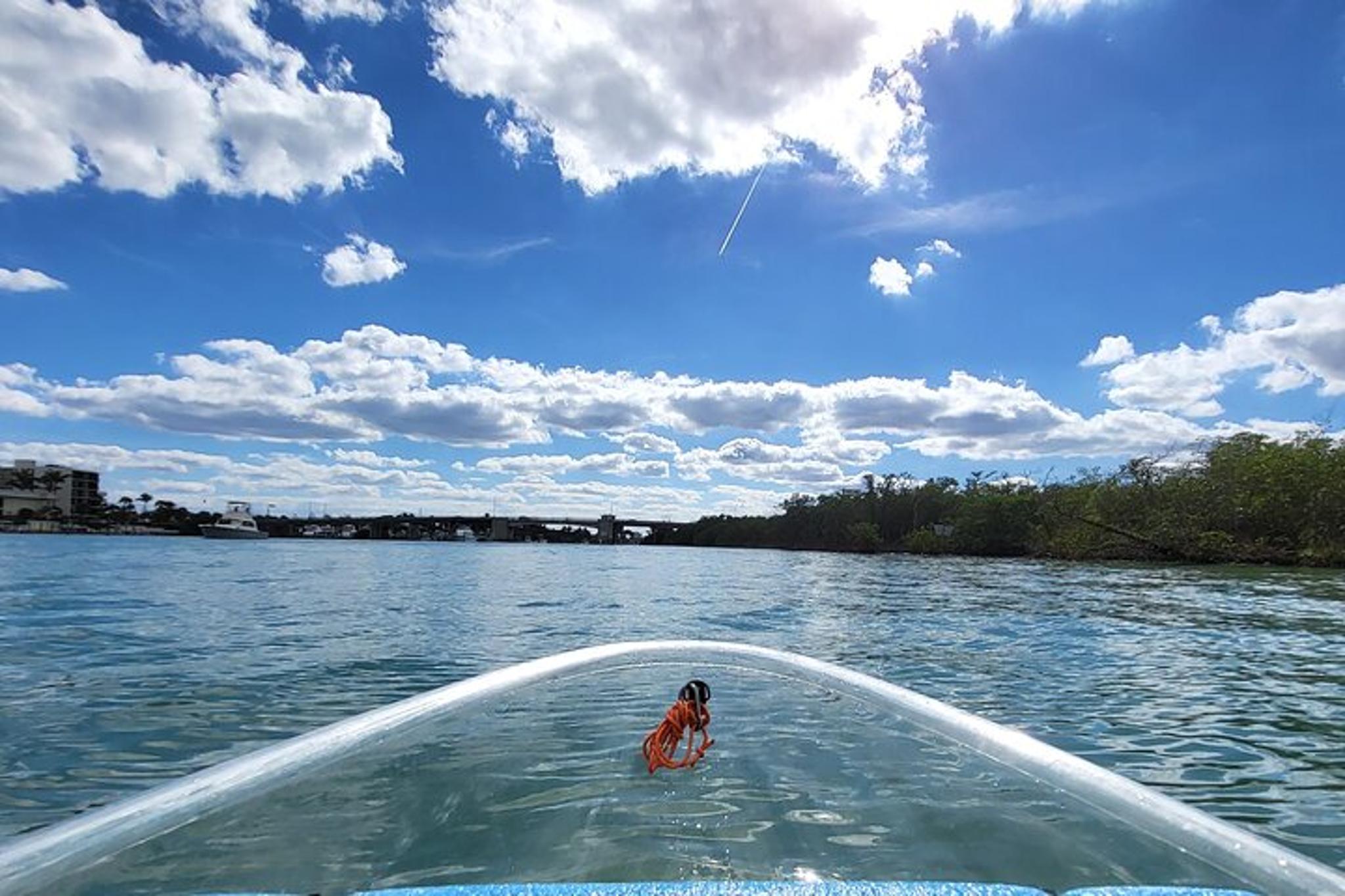 Jupiter Clear Kayak Eco Tour - Image 3