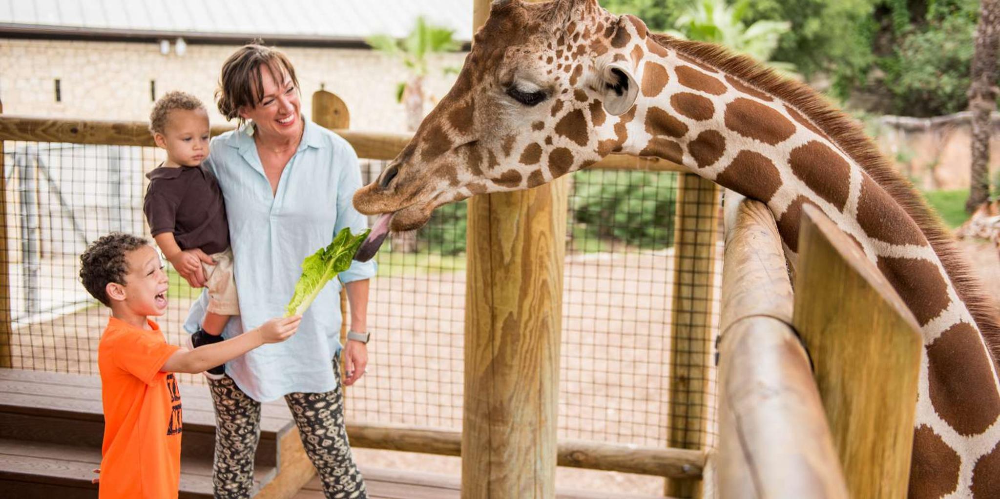 San Antonio Zoo Admission Ticket