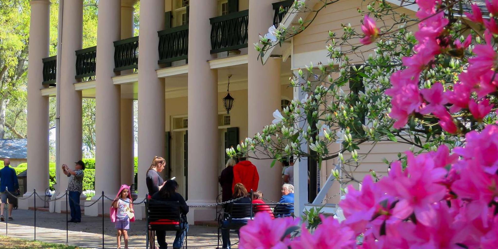 New Orleans Oak Alley Plantation Tour with Transportation - Image 3
