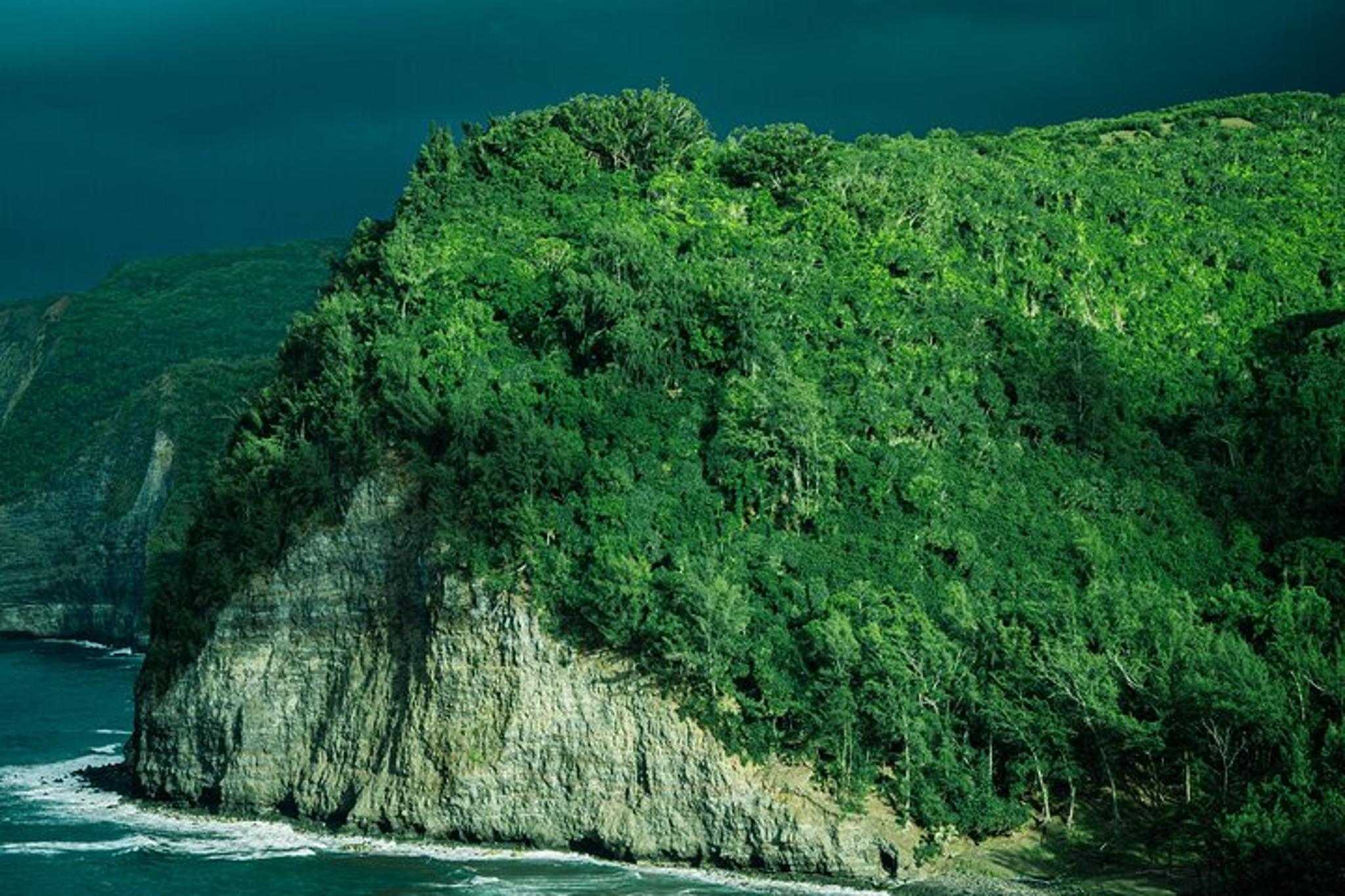 Hawaii Guided Hiking and Photography Experience - Image 2