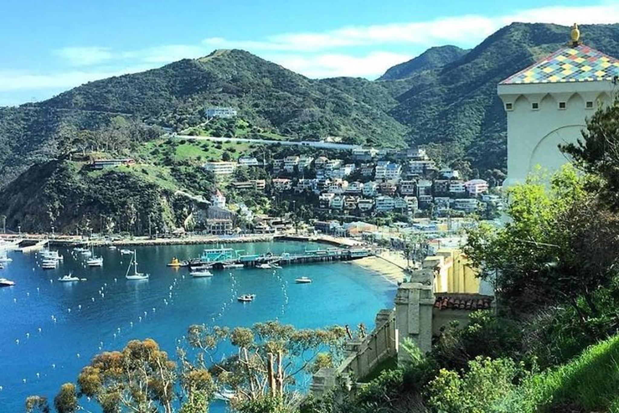Avalon Catalina Scenic Tour 50 min