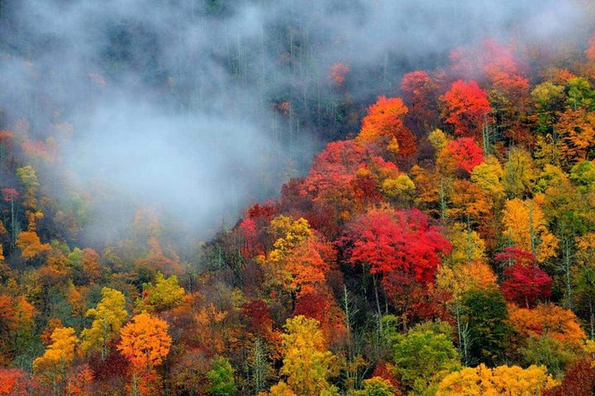 Pigeon Forge Fall Foliage Tour - Image 2