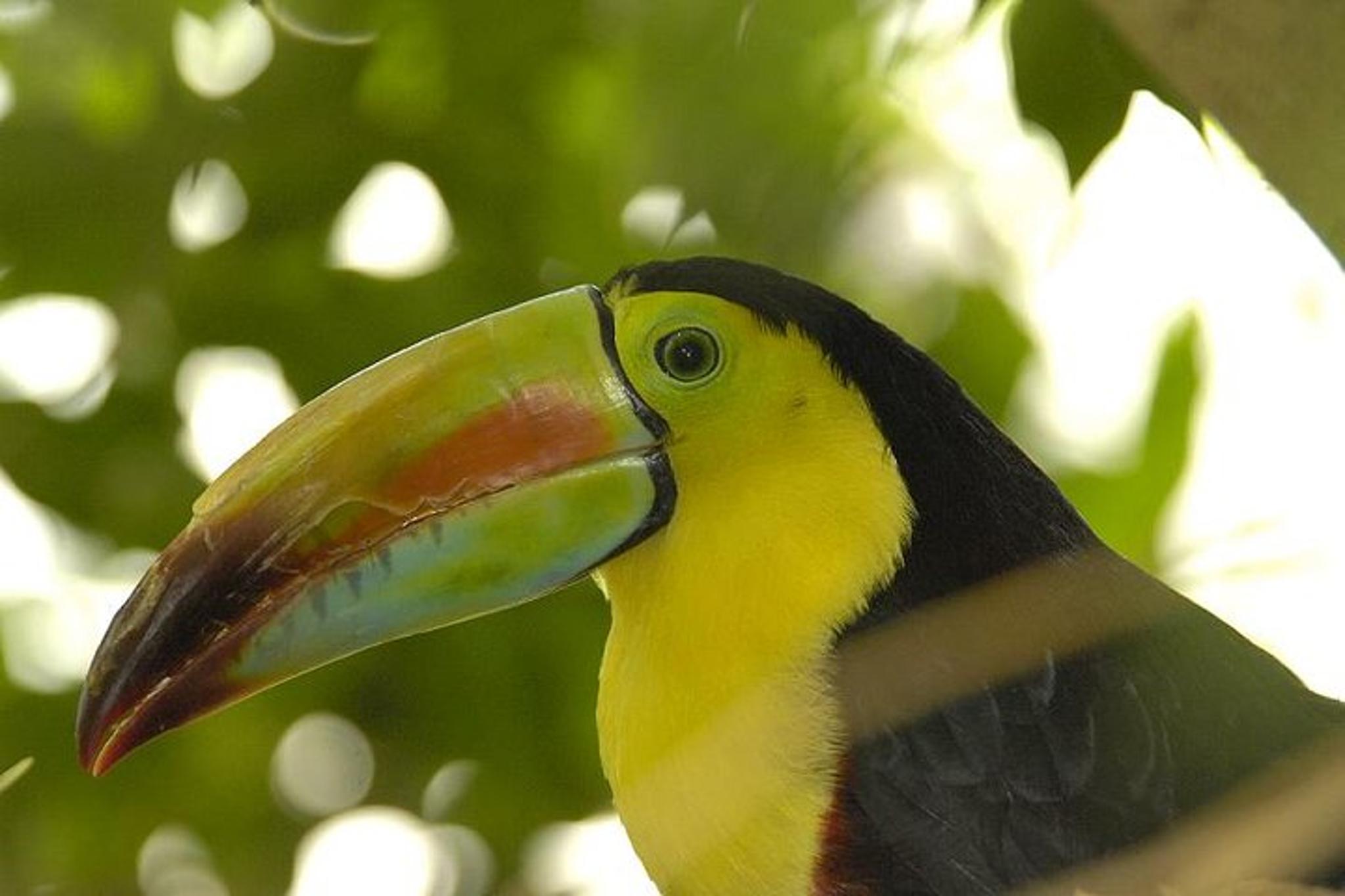 New York Central Park Zoo Admission with 4D Theater - Image 6