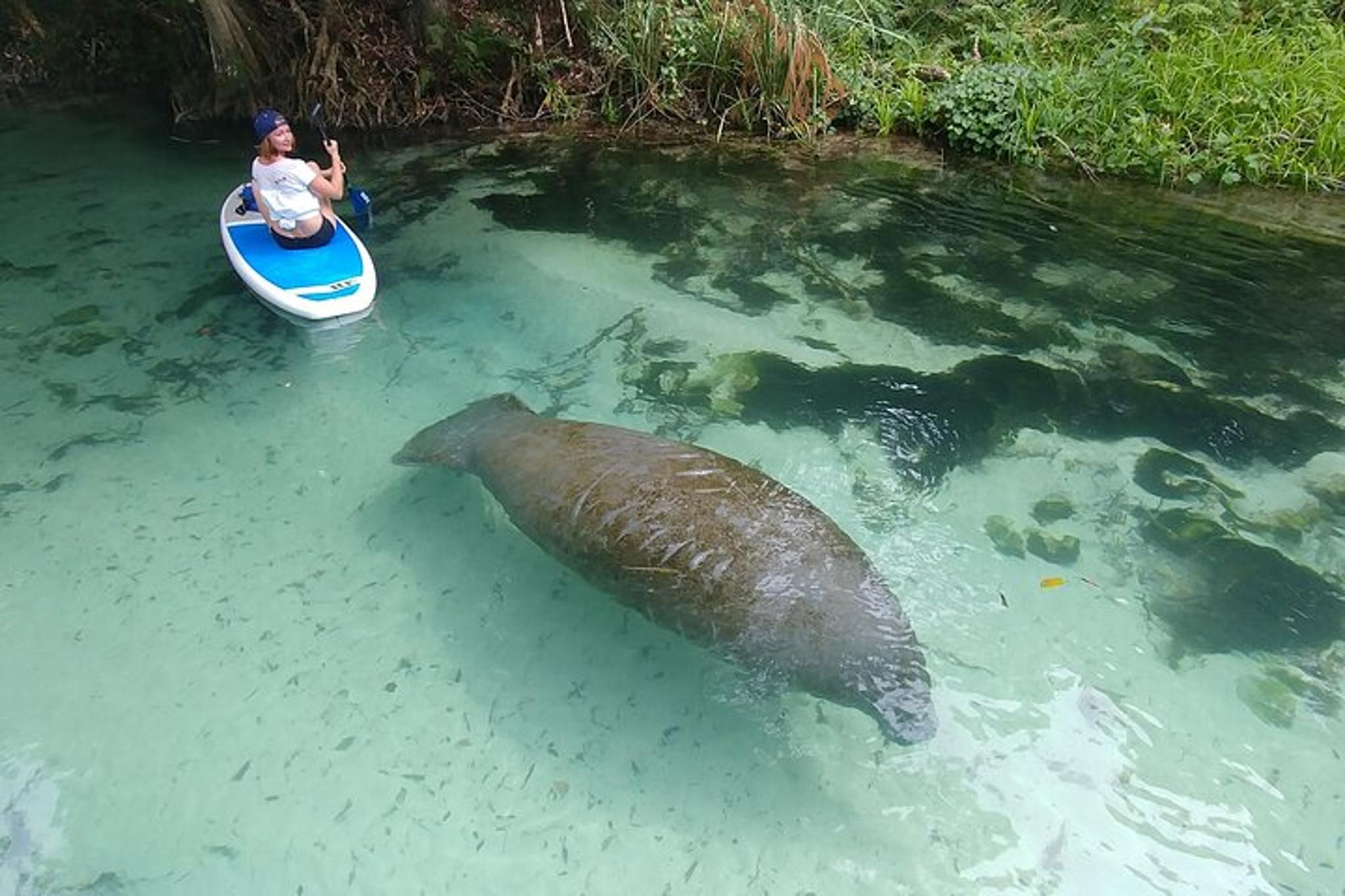 Miami Nature & Island Exploration on SUP/Kayak - Image 2