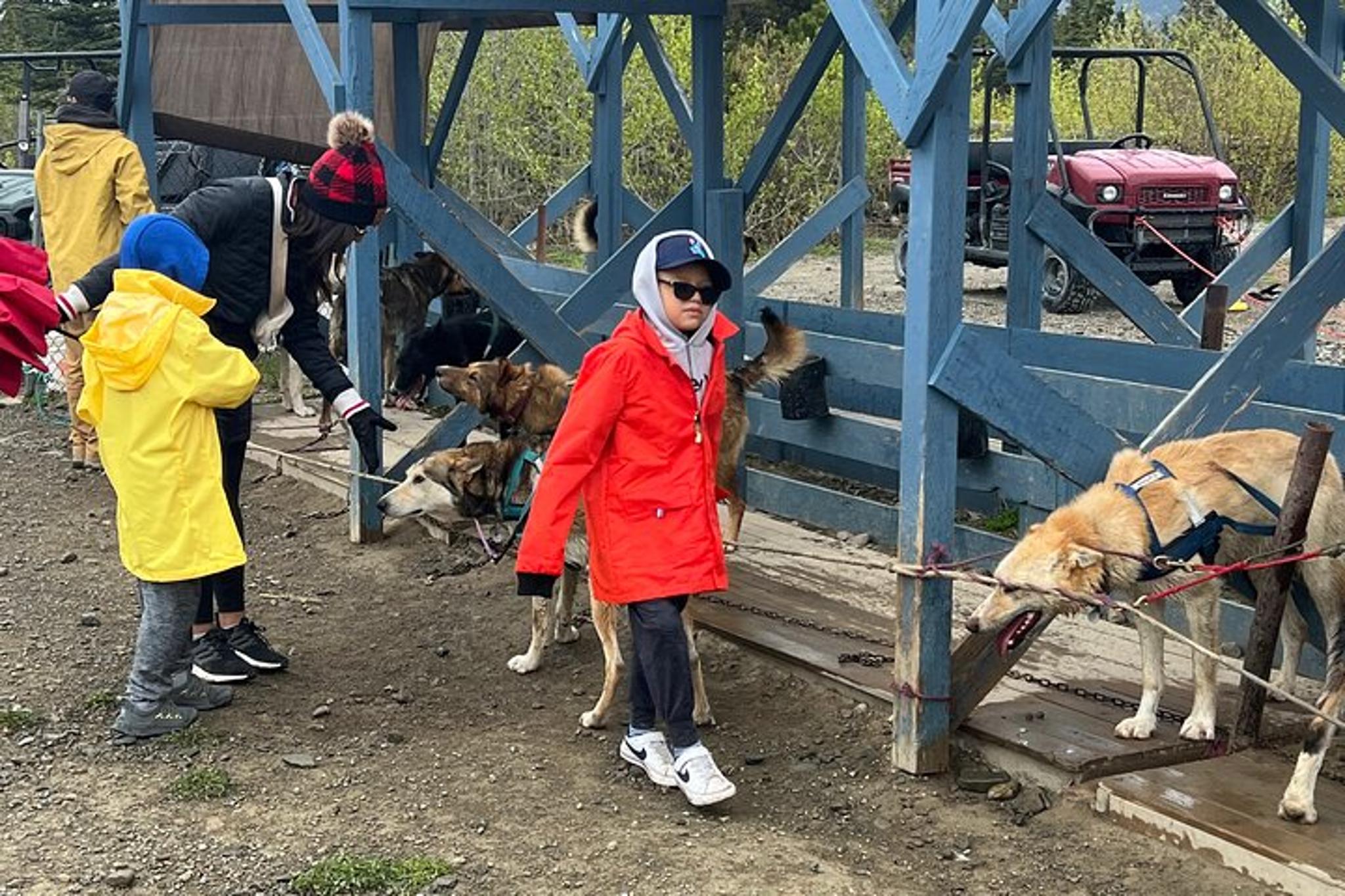 Skagway Dog Mushing and Yukon Experience - Image 4