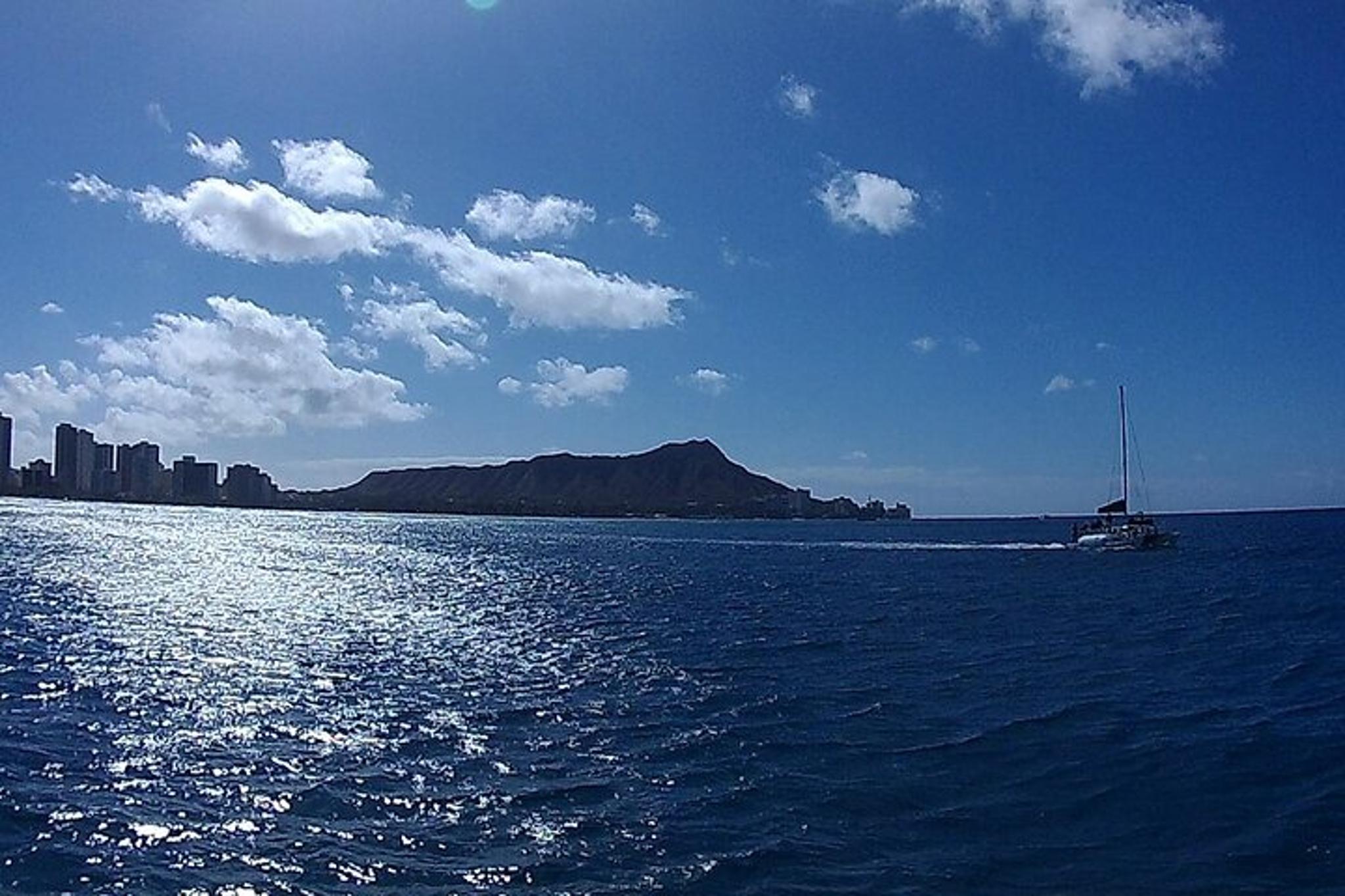 Honolulu Turtle Canyon Snorkel Adventure - Image 6