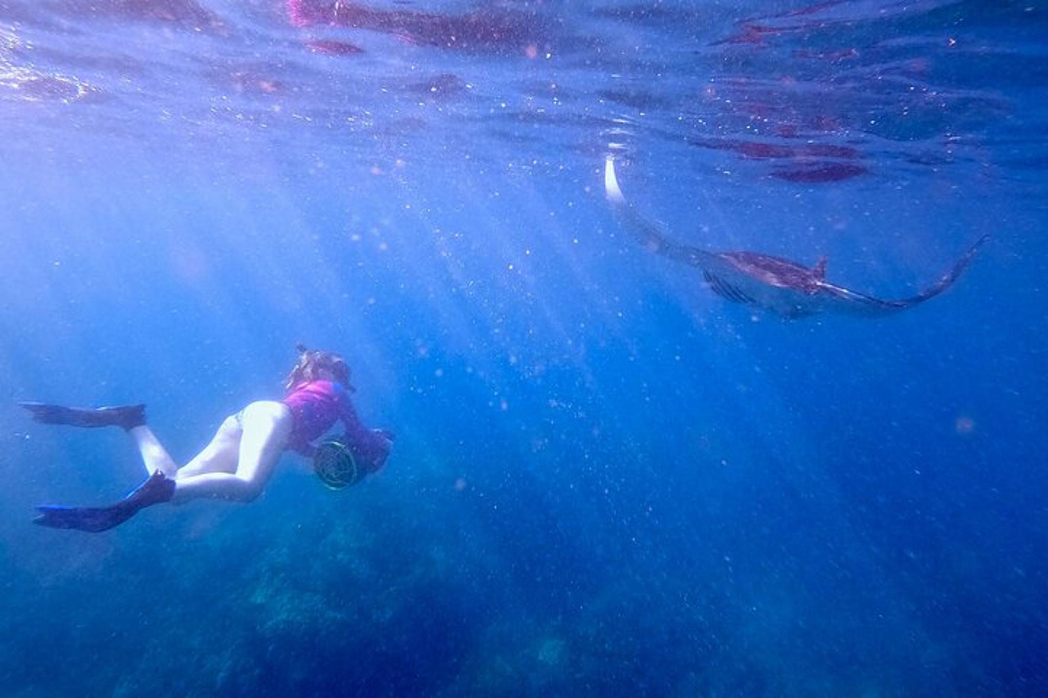 Maui Underwater Scooter Snorkeling Tour - Image 6