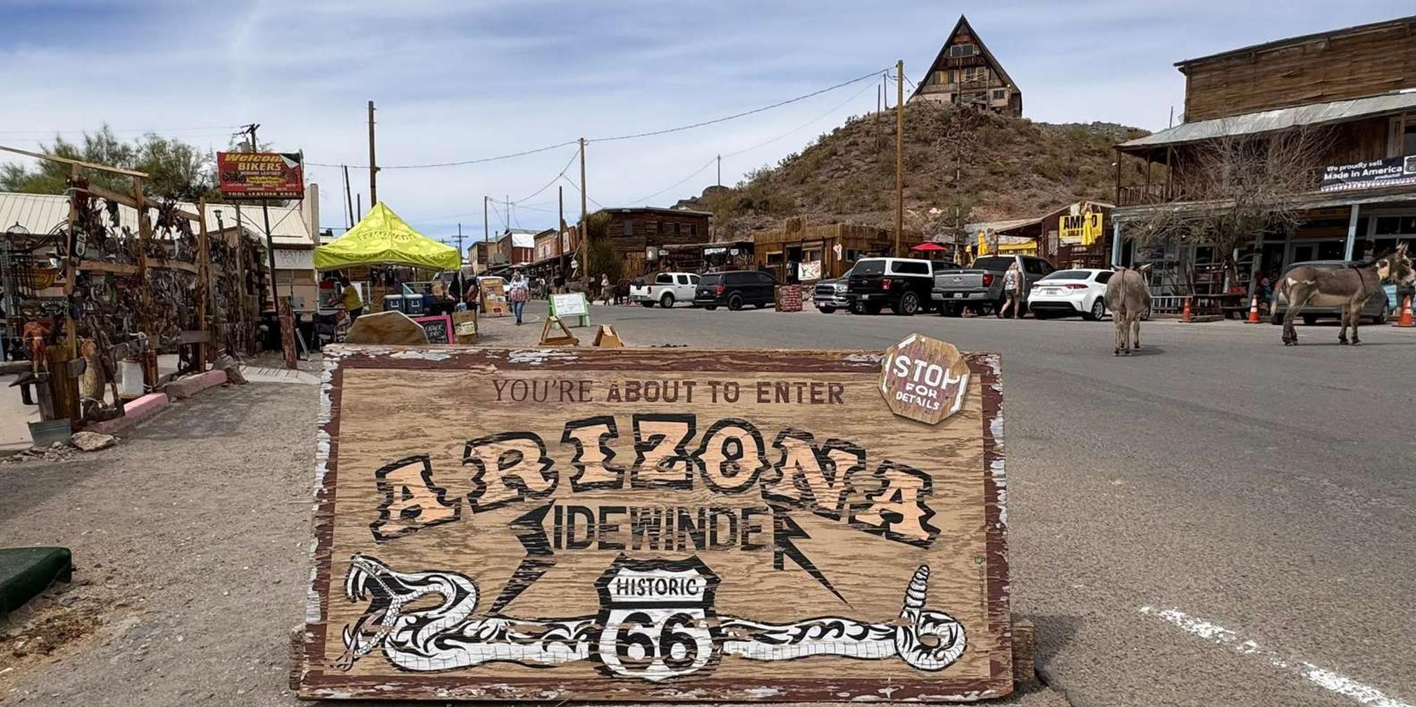 Las Vegas Route 66 Day Tour: Oatman & Kingman - Image 2