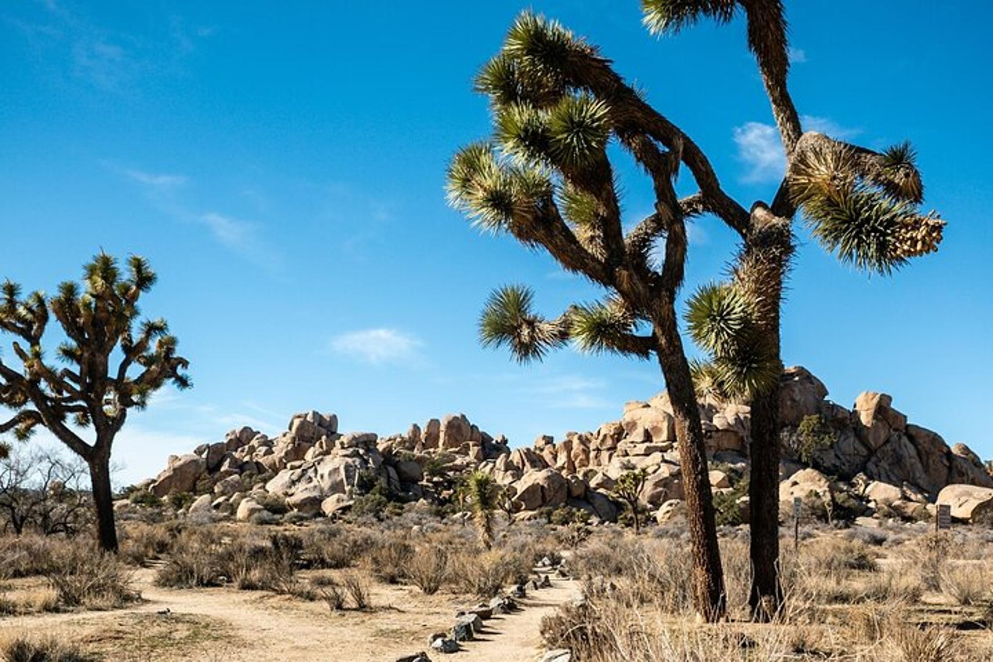 Joshua Tree Hidden Valley Trail Audio Tour - Image 5
