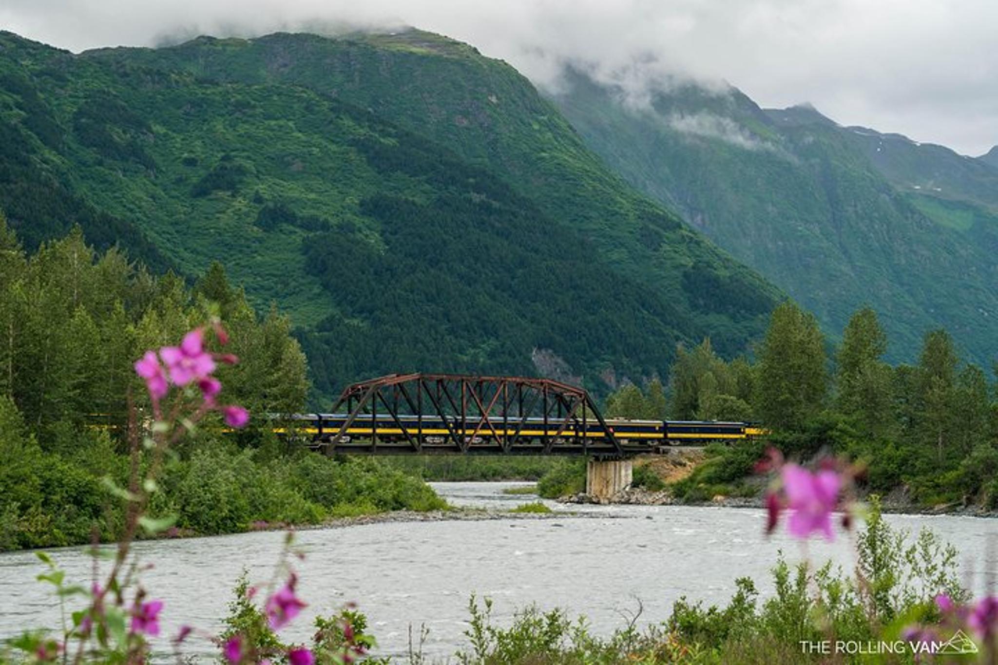 Girdwood Bears, Trains & Icebergs Tour