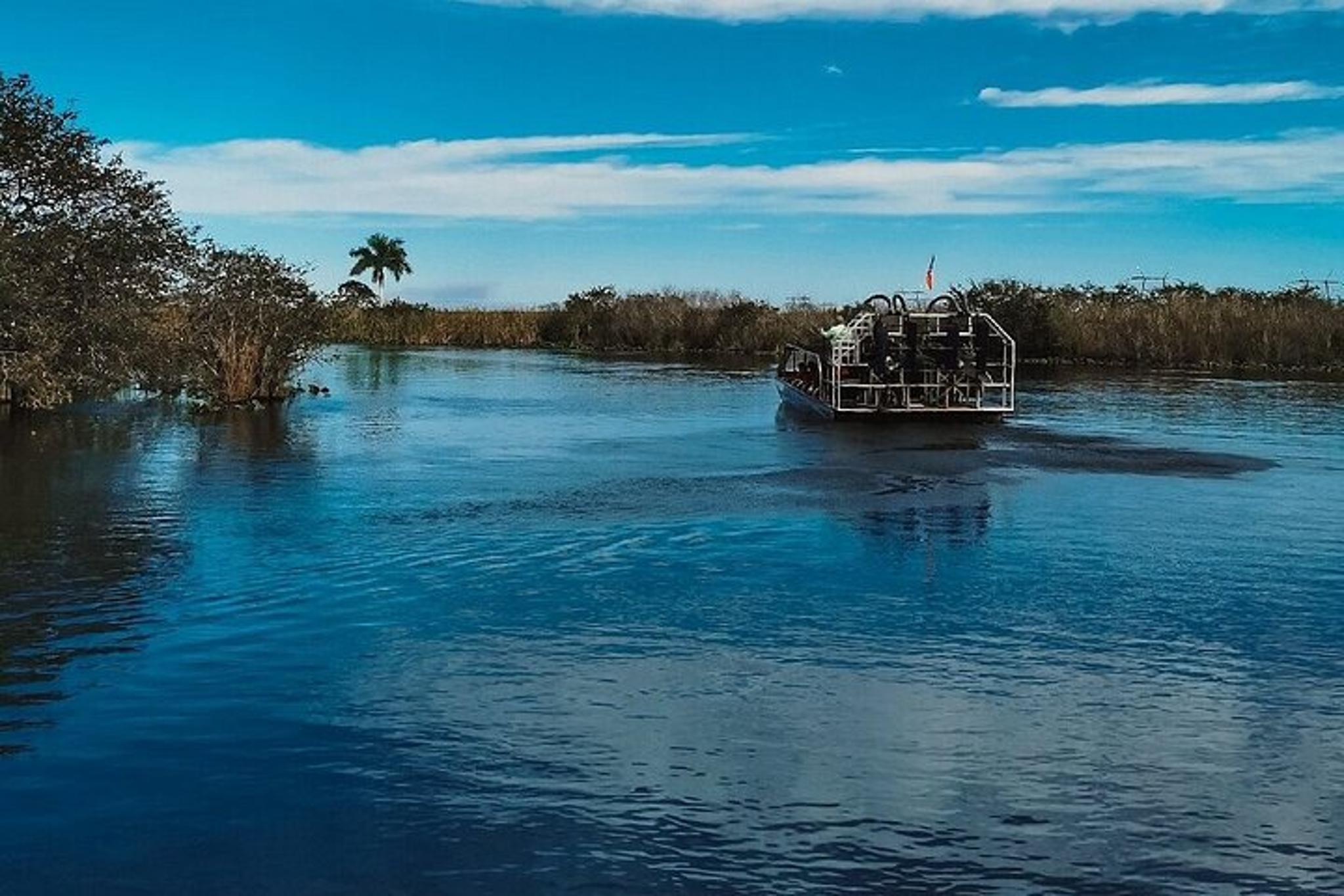 Miami Everglades Airboat Tour with Pickup 1 hr - Image 6