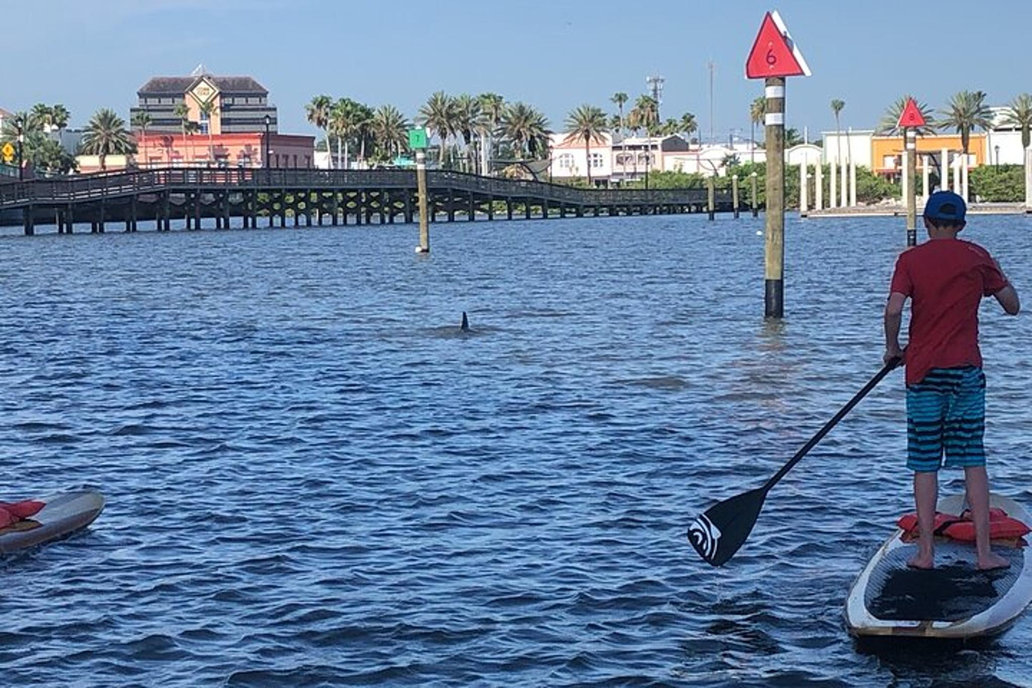 Daytona Paddle Board Rental - Image 3