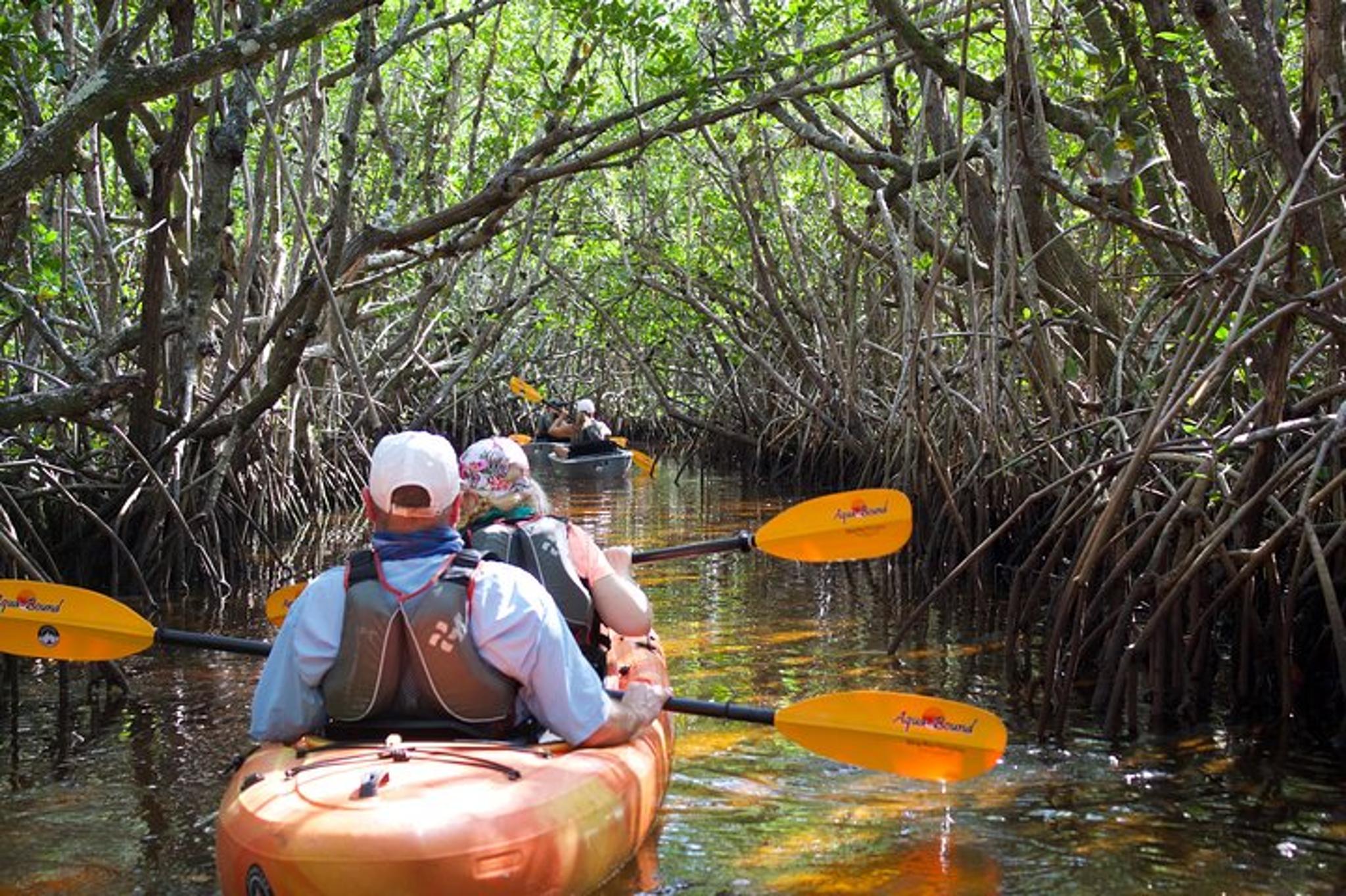 Naples Kayak Tour through Mangrove Tunnels - Image 2