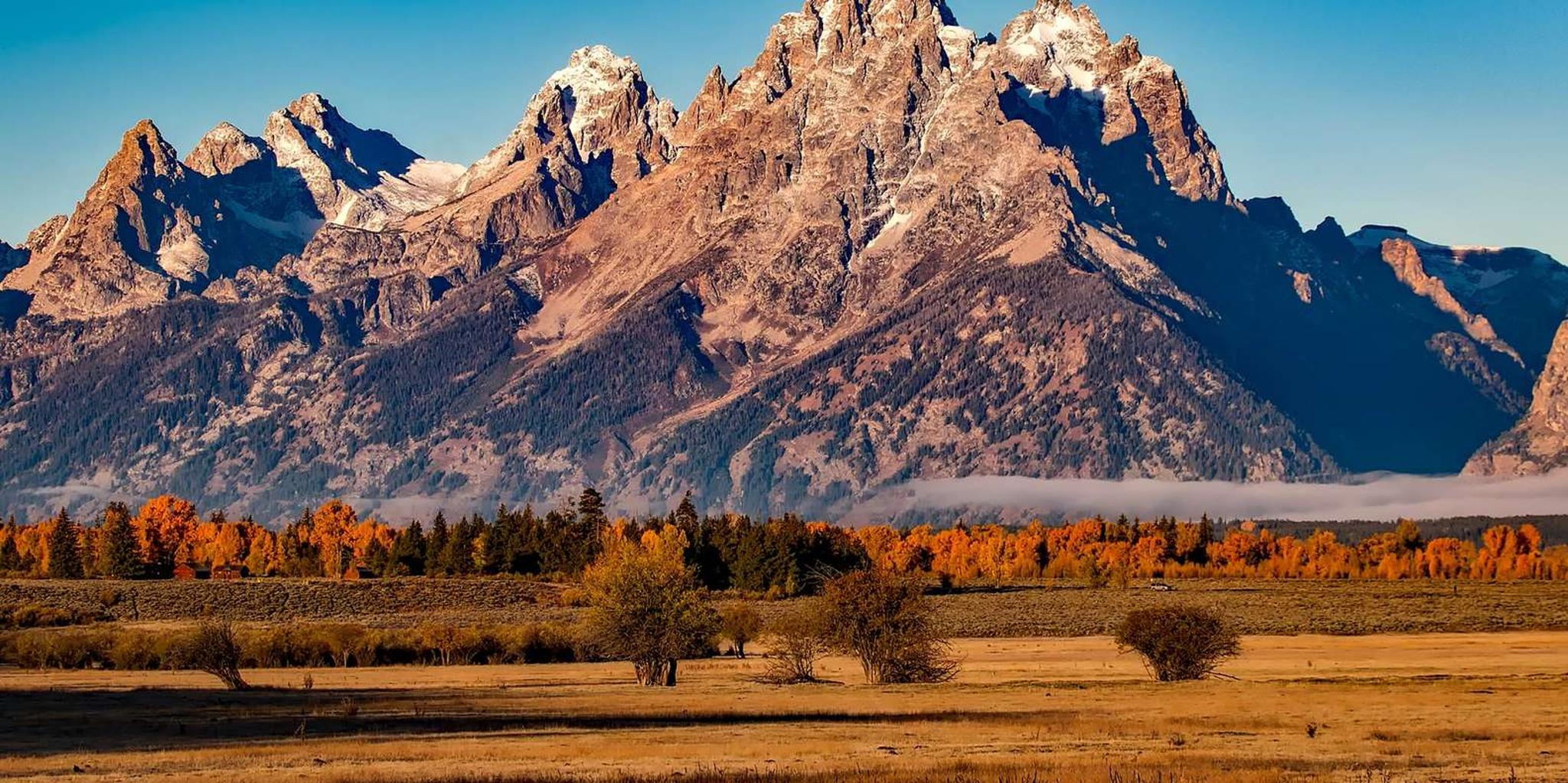 Jackson Grand Teton National Park Tour 4 hr - Image 2
