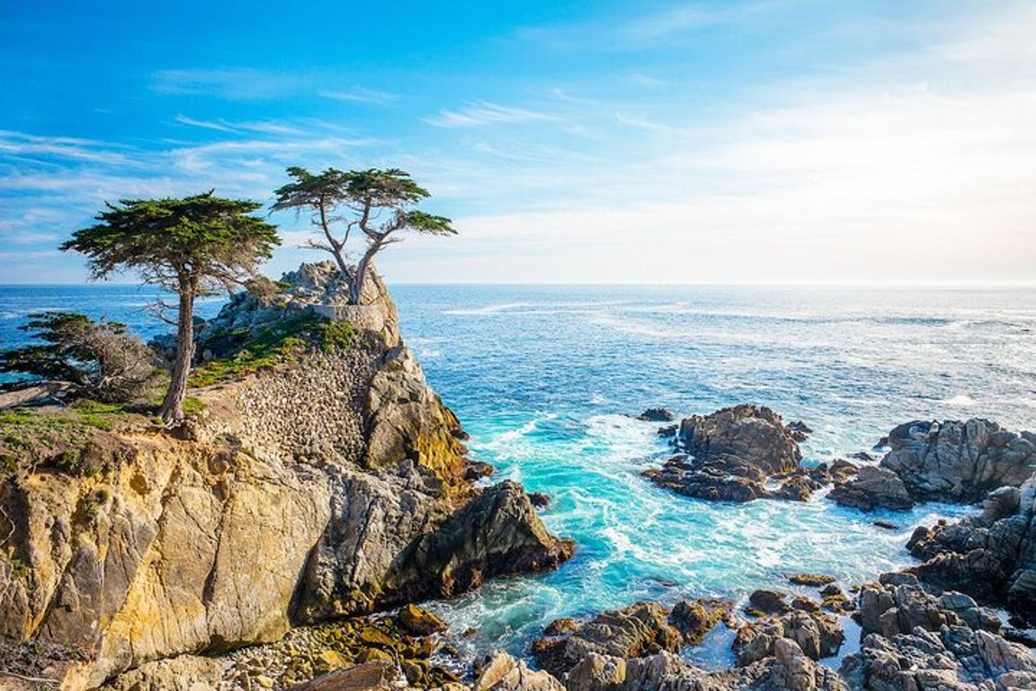 Monterey Ocean Trolley and Walking Tour