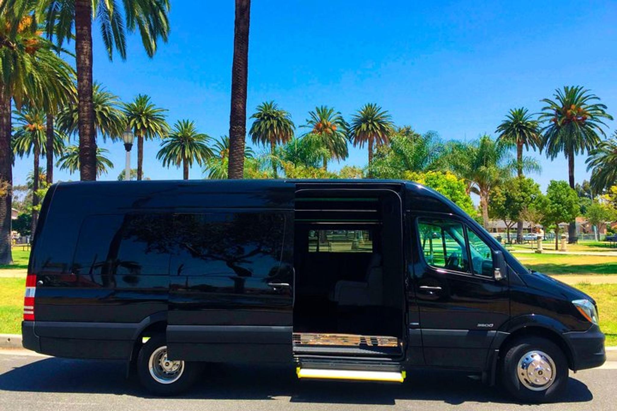 Maui Private Road Tour in Mercedes Sprinter