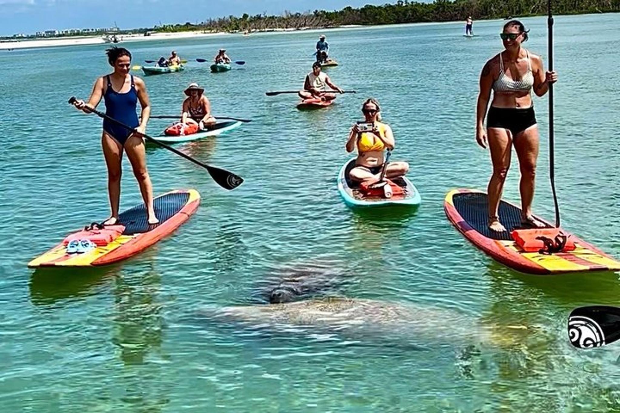 Daytona Beach Kayak Tour with Dolphins and Manatees